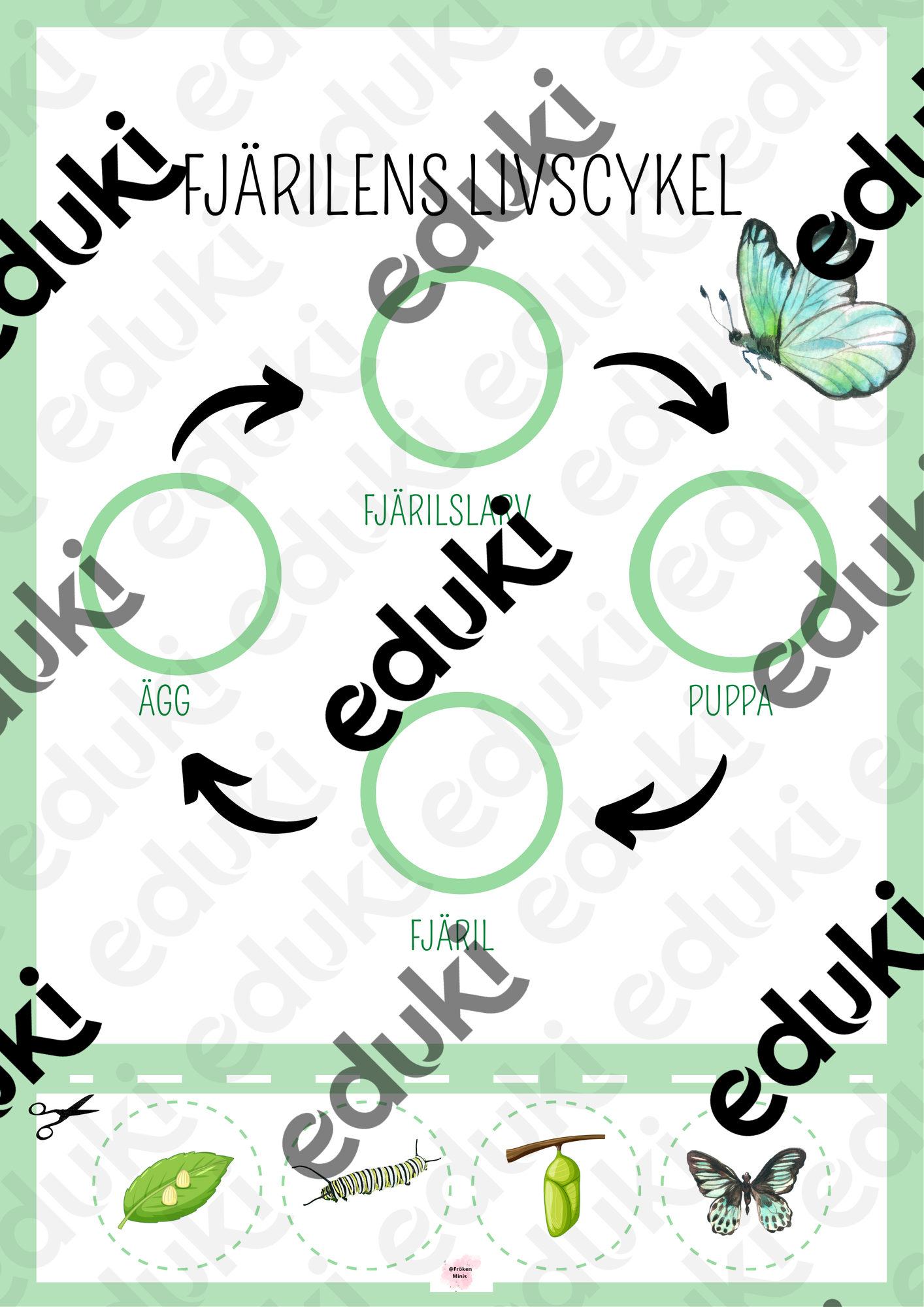 ZoomedPreview