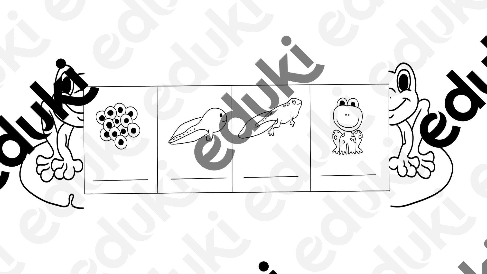 ZoomedPreview