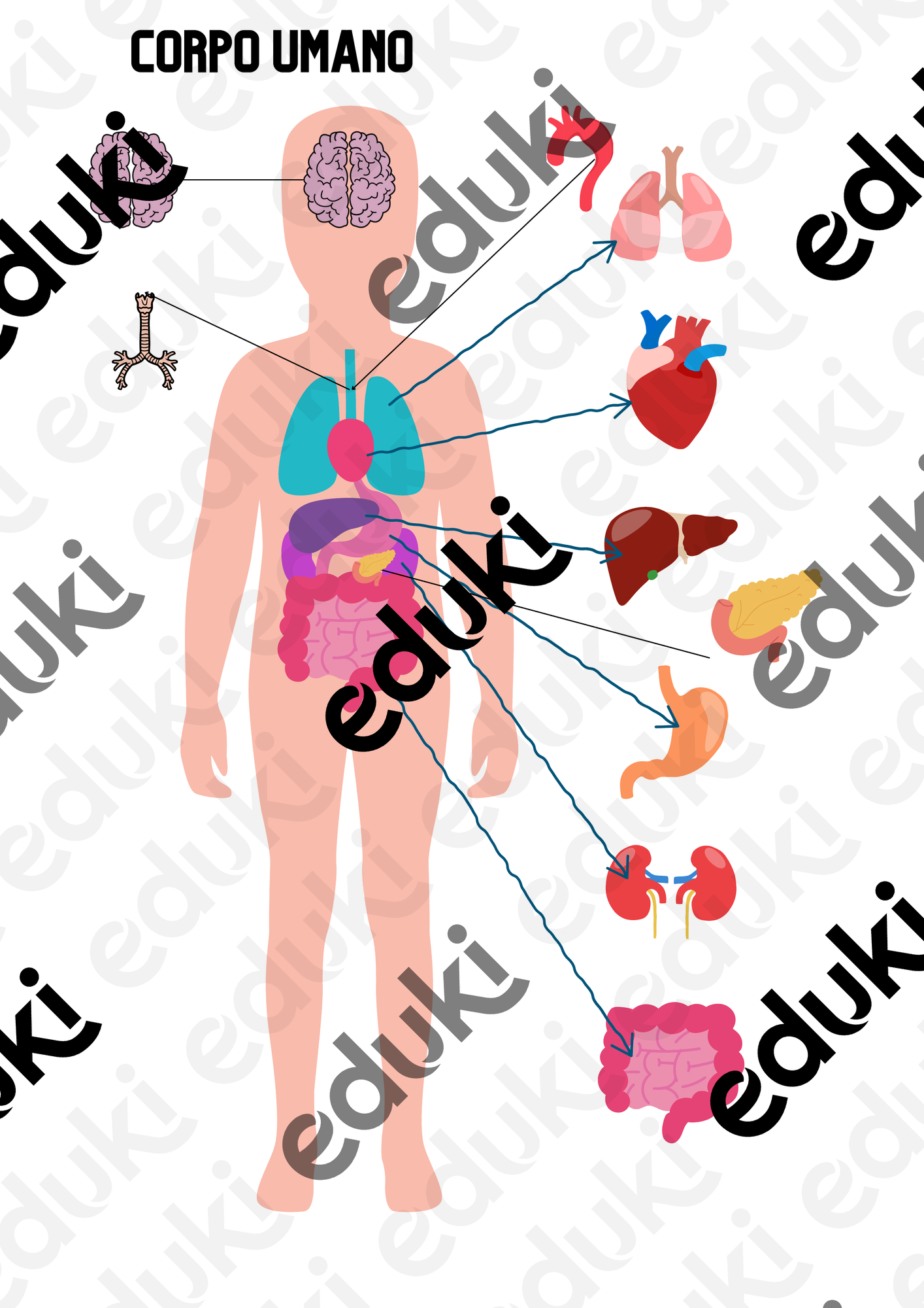 ZoomedPreview