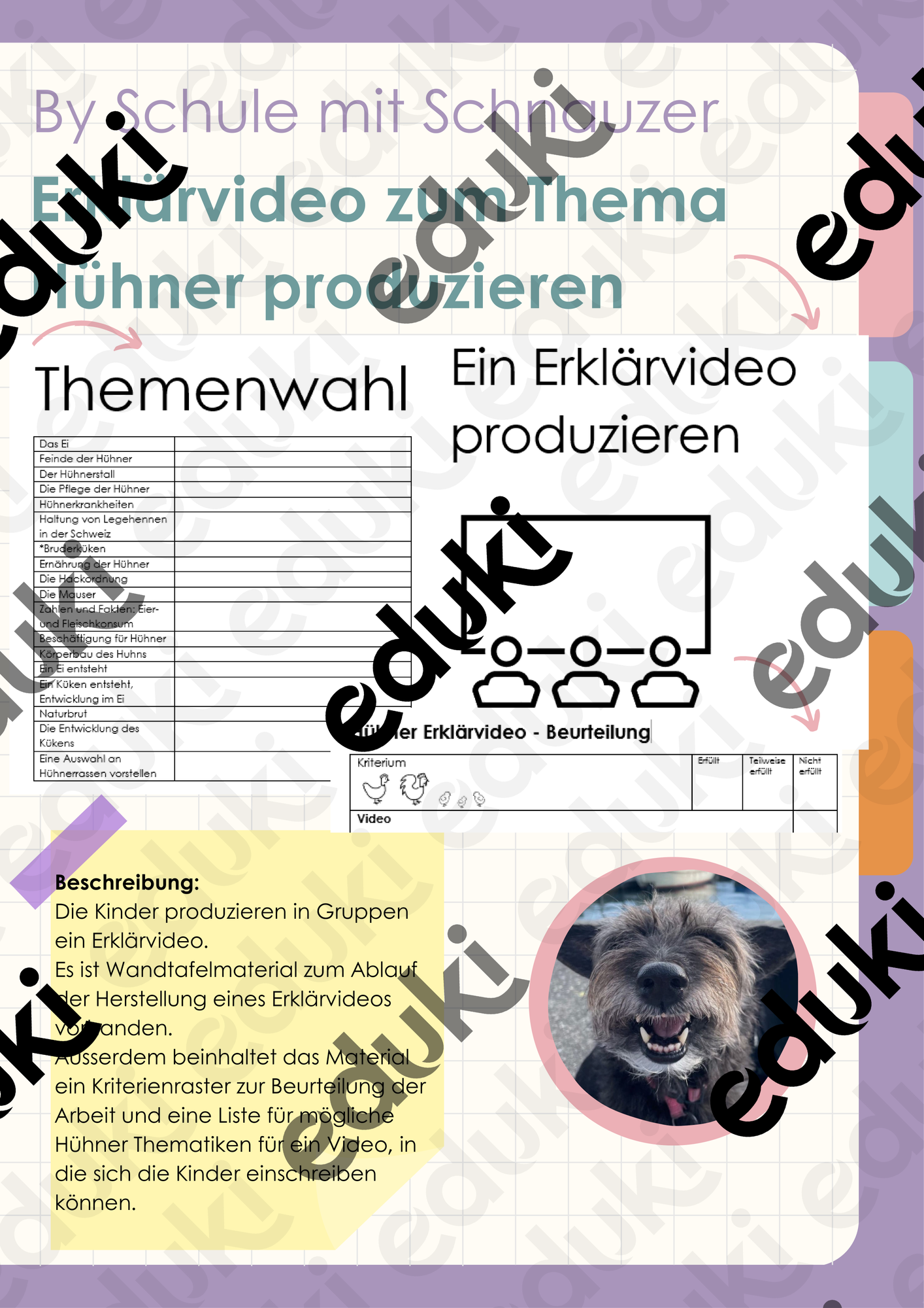 ZoomedPreview