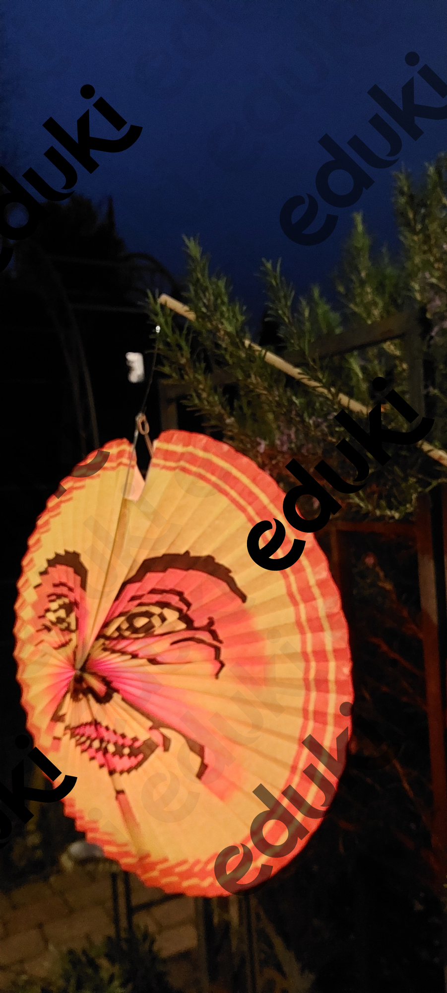ZoomedPreview