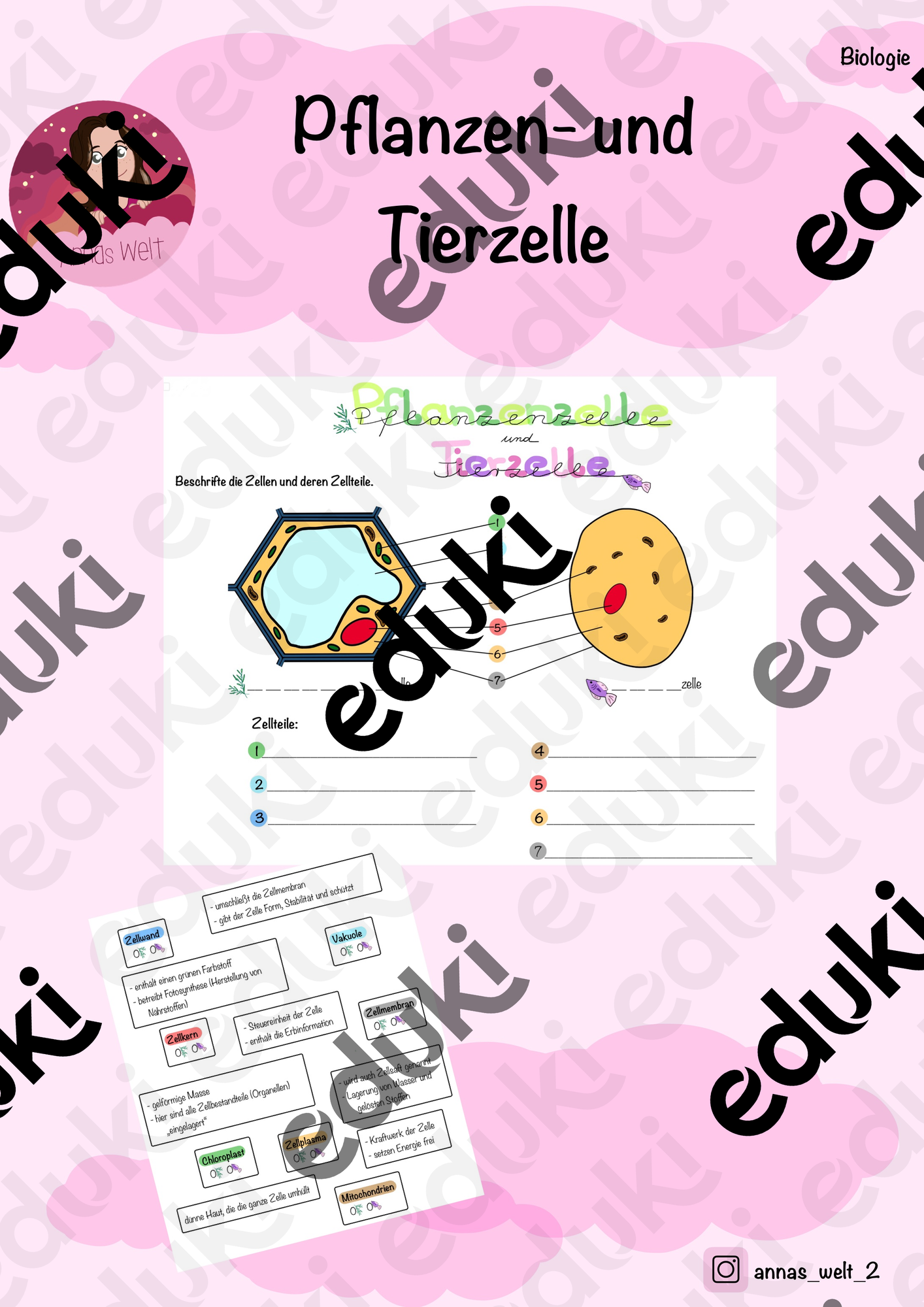 ZoomedPreview