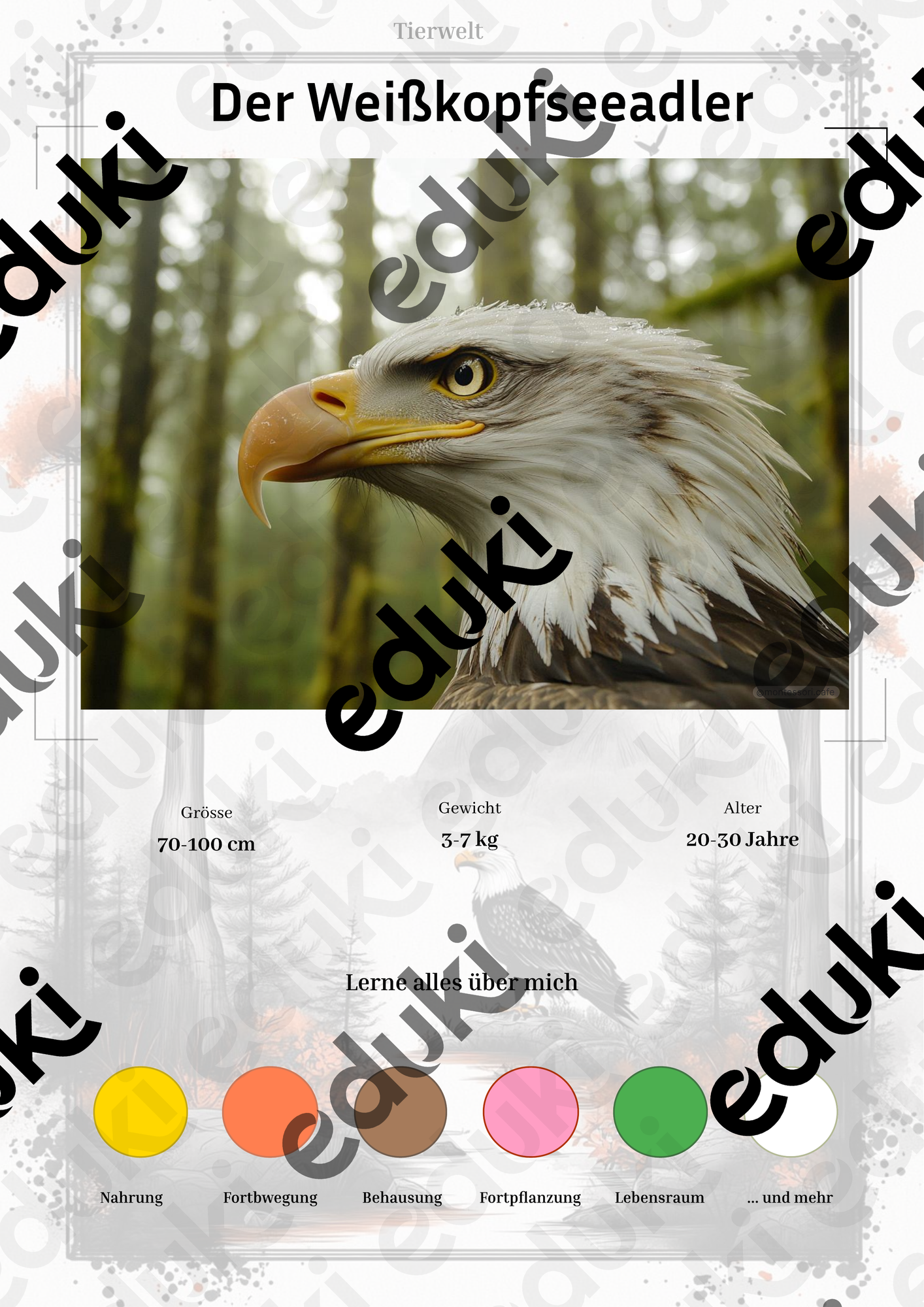 ZoomedPreview