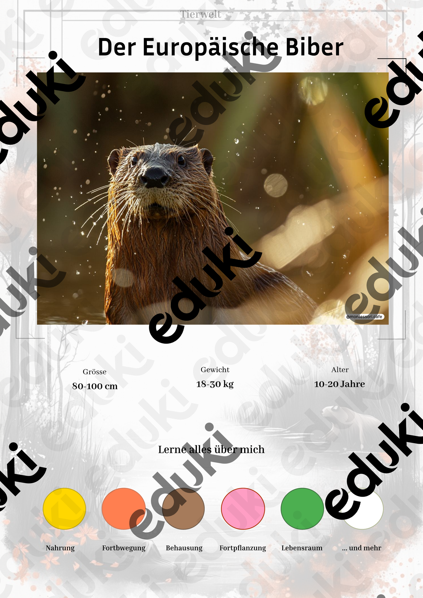 ZoomedPreview