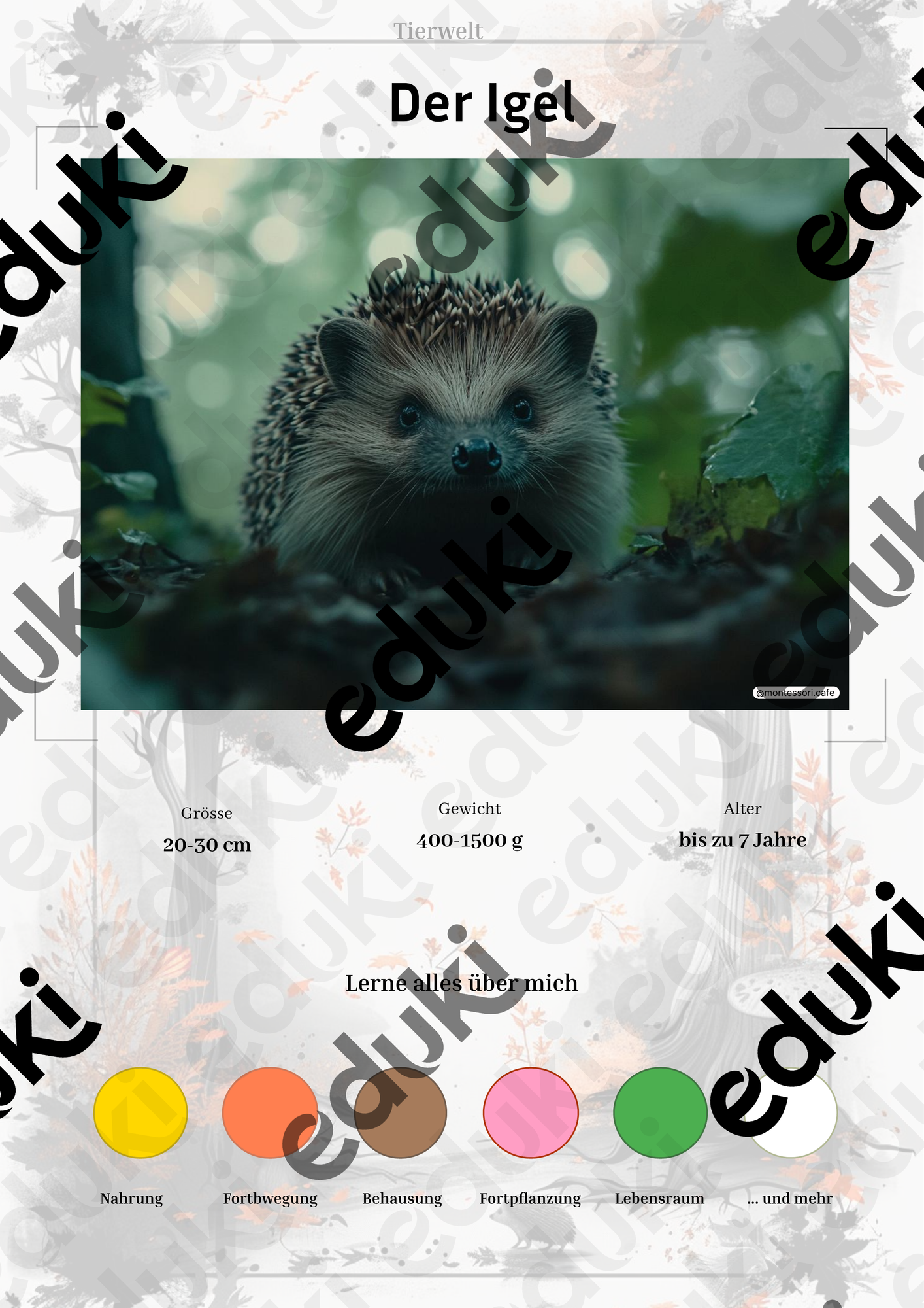 ZoomedPreview