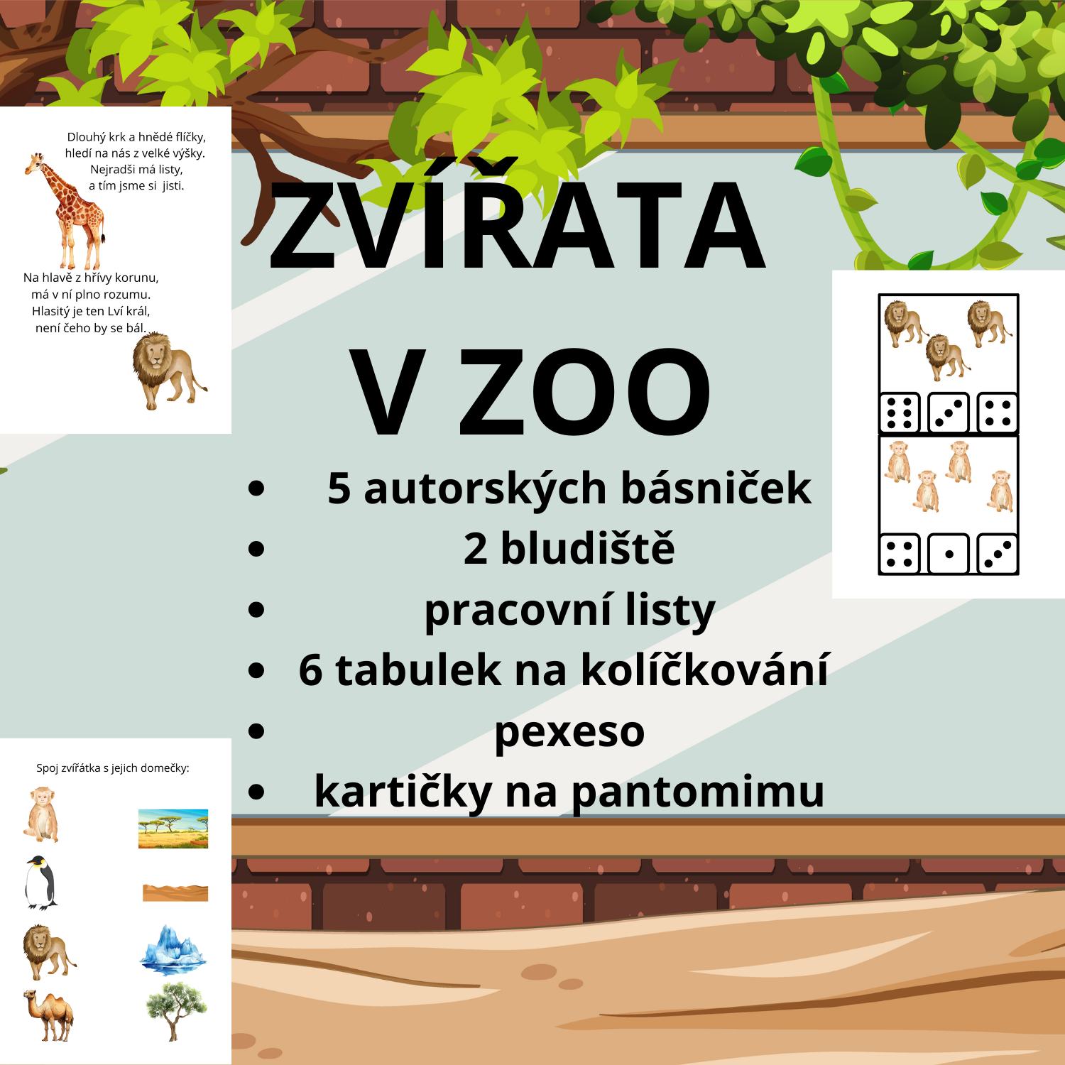 ZoomedPreview
