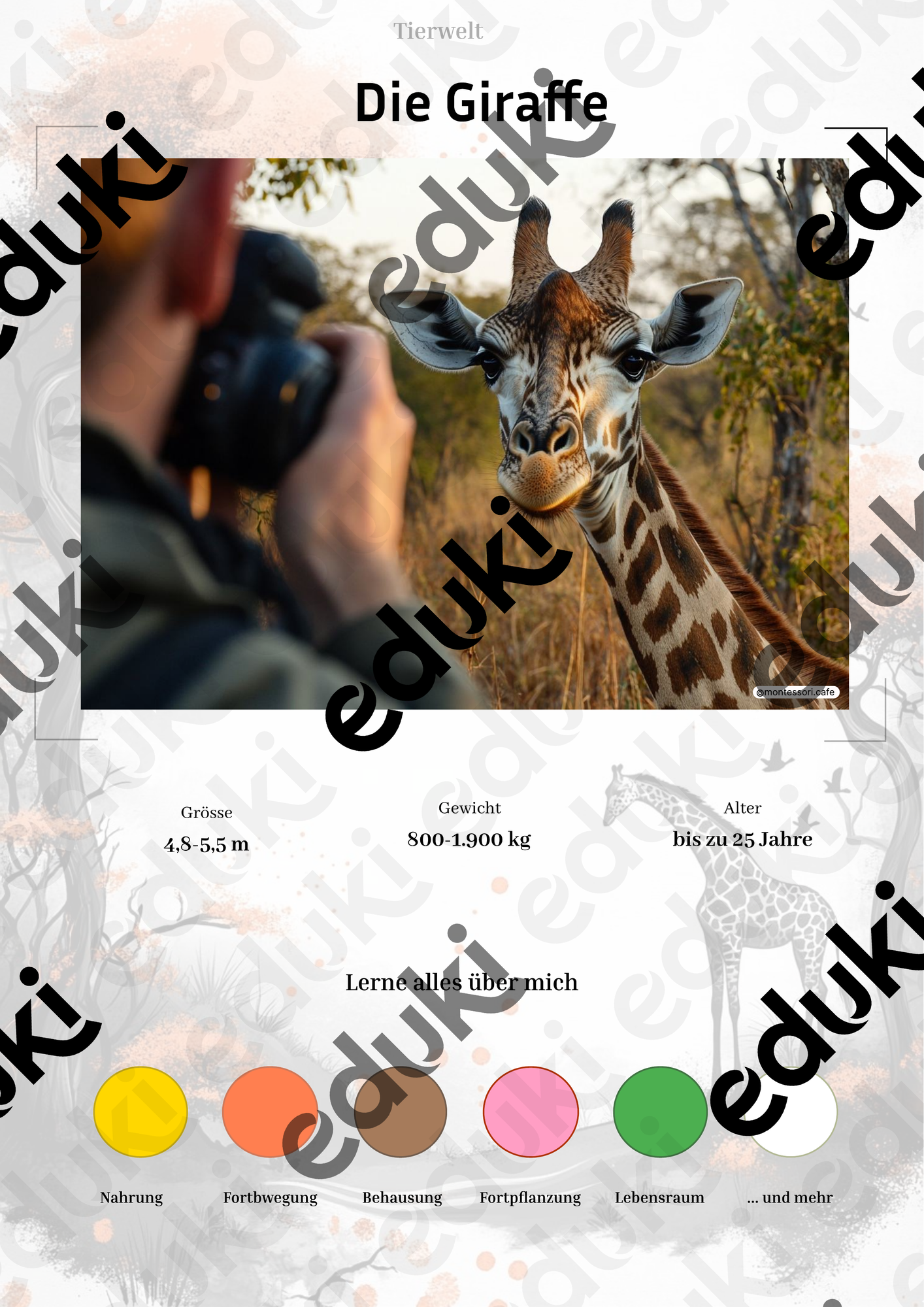 ZoomedPreview