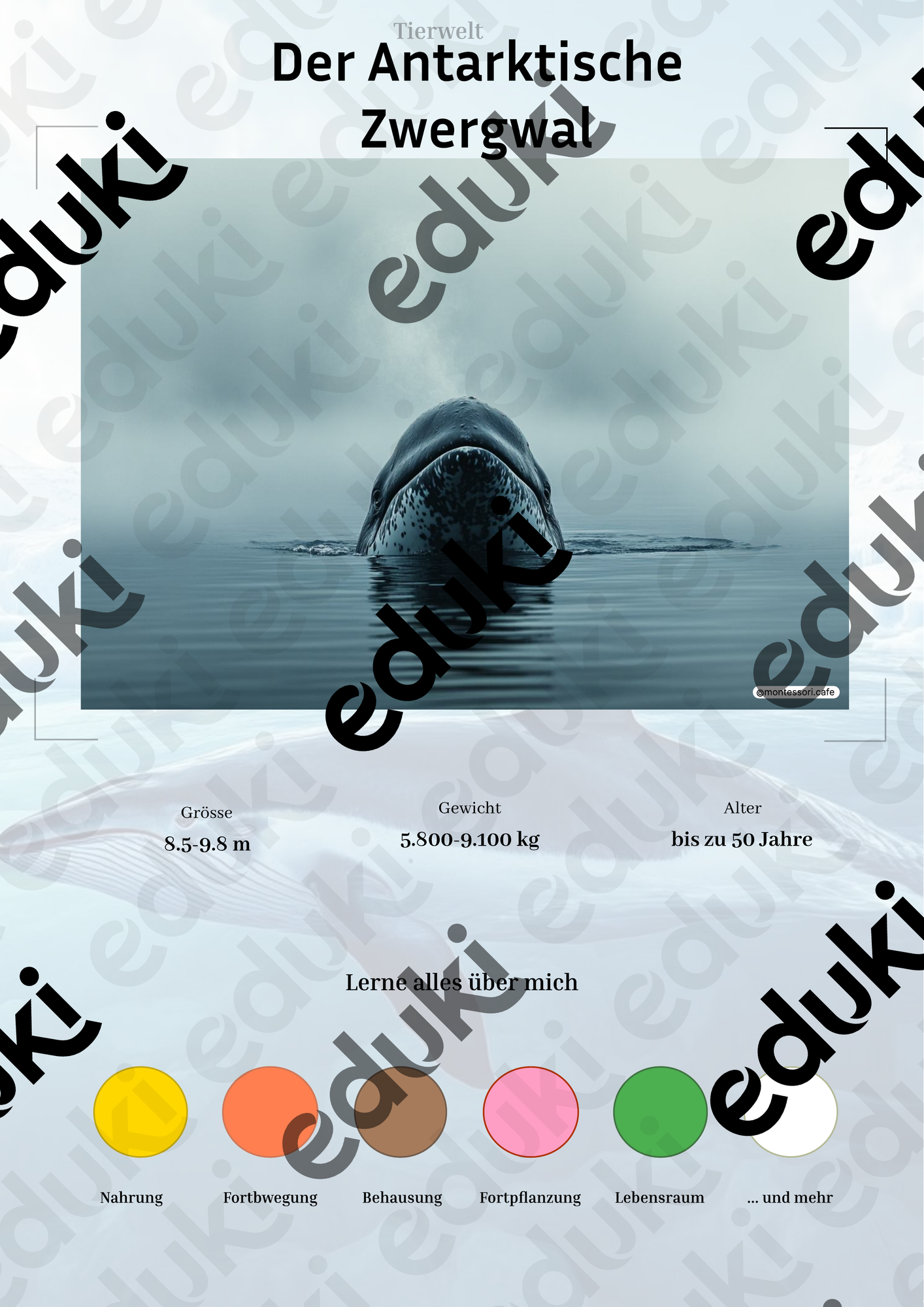 ZoomedPreview