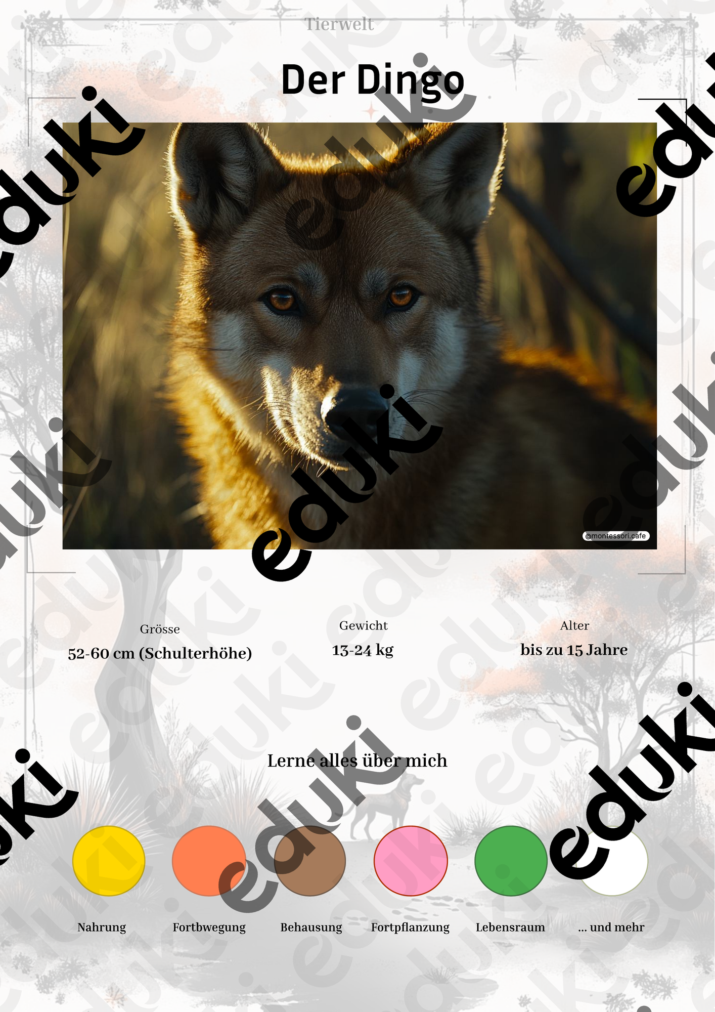 ZoomedPreview