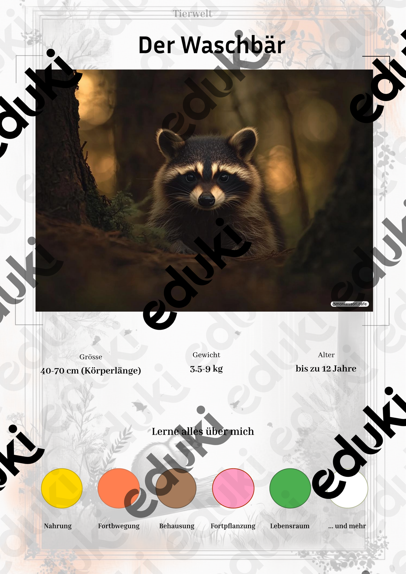 ZoomedPreview