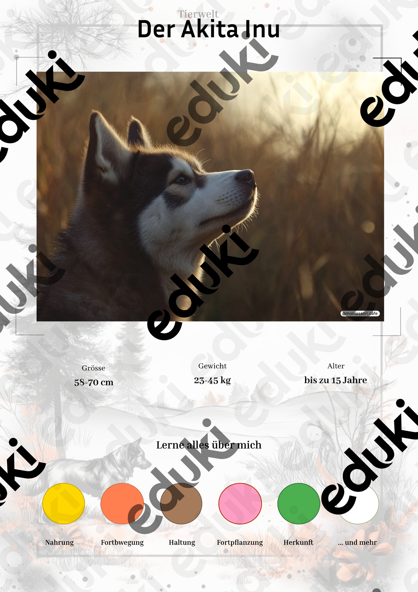 ZoomedPreview