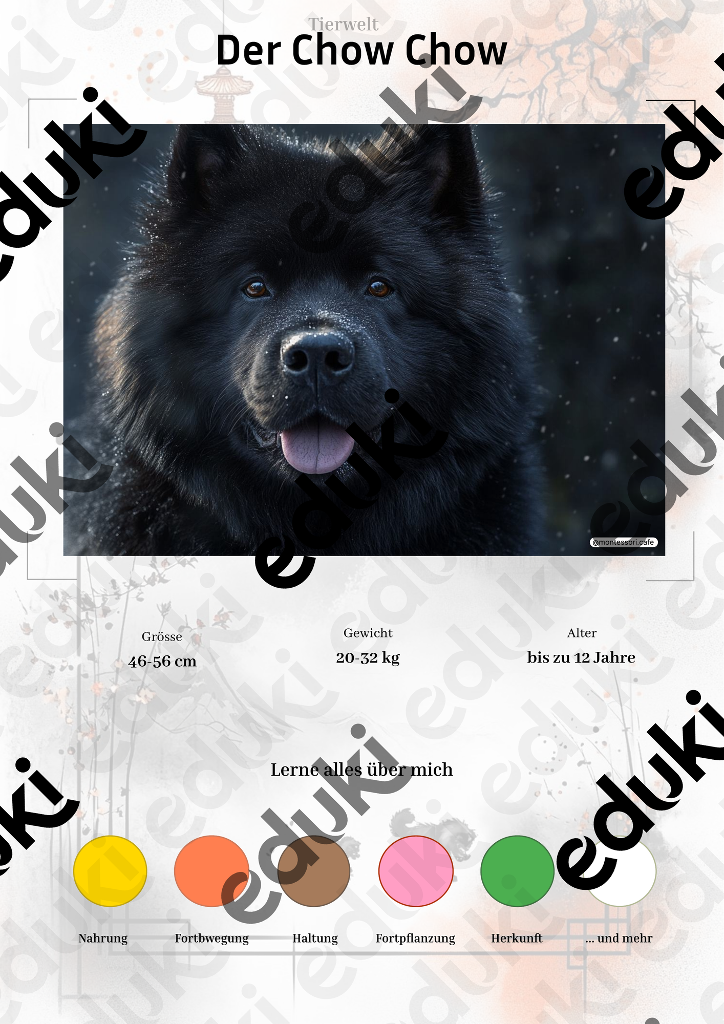 ZoomedPreview