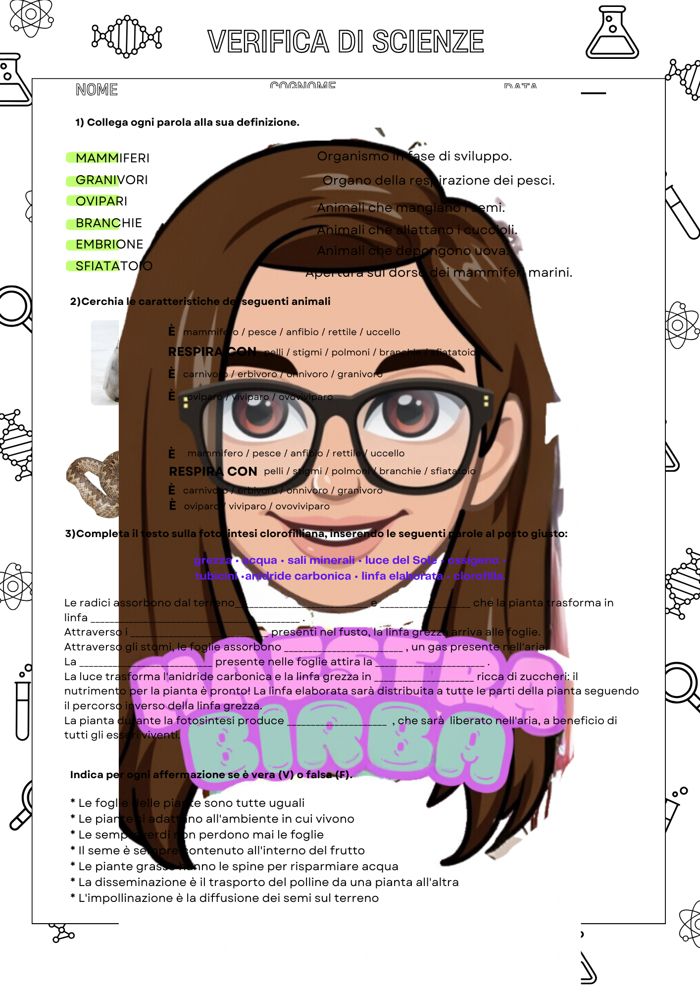 ZoomedPreview