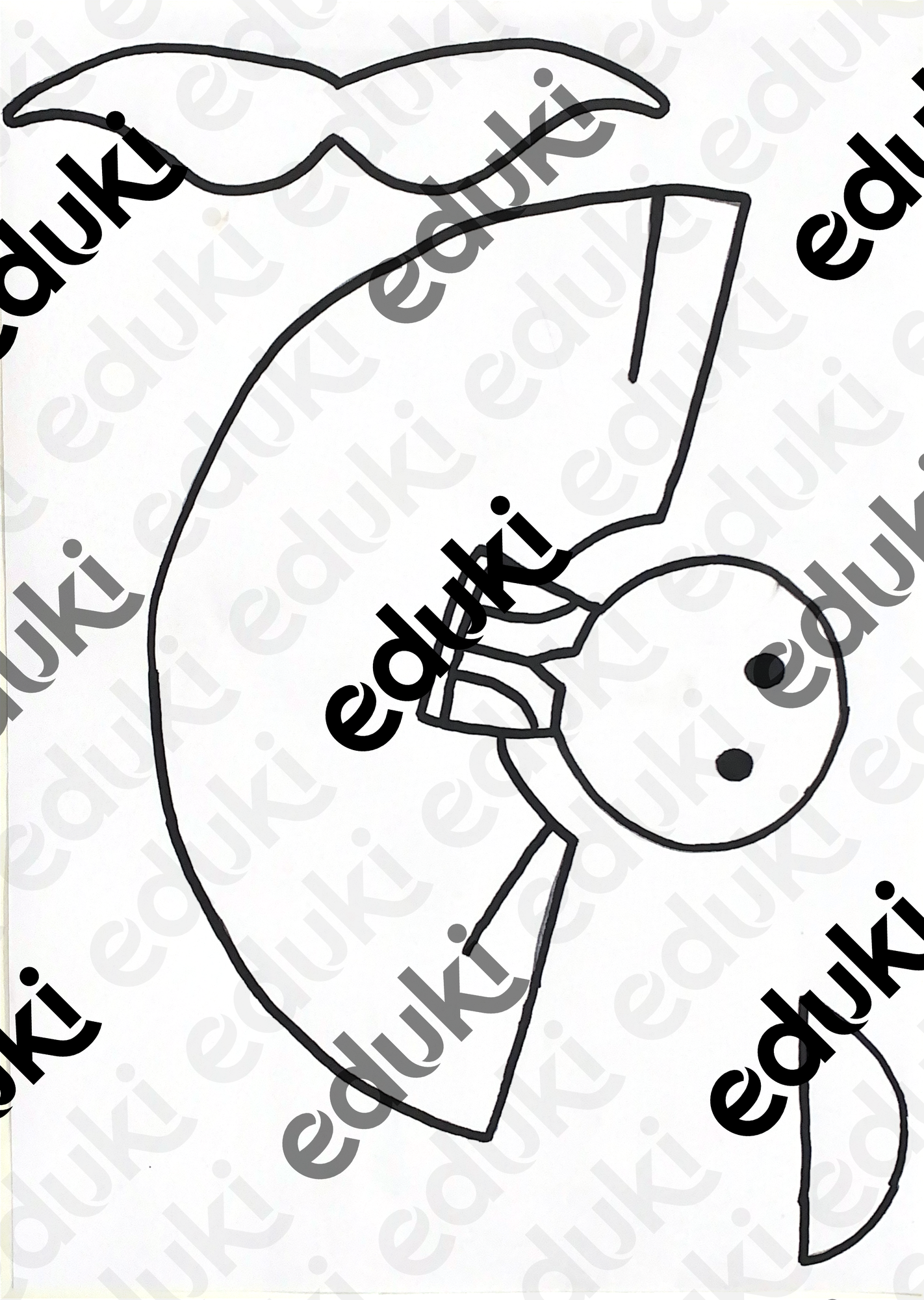 ZoomedPreview