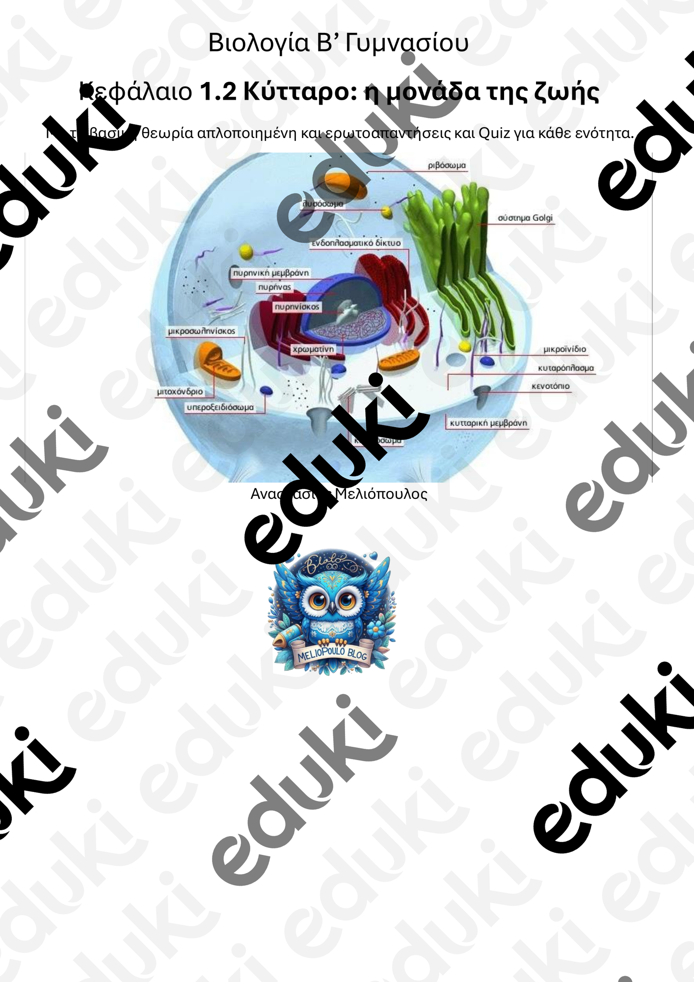 ZoomedPreview