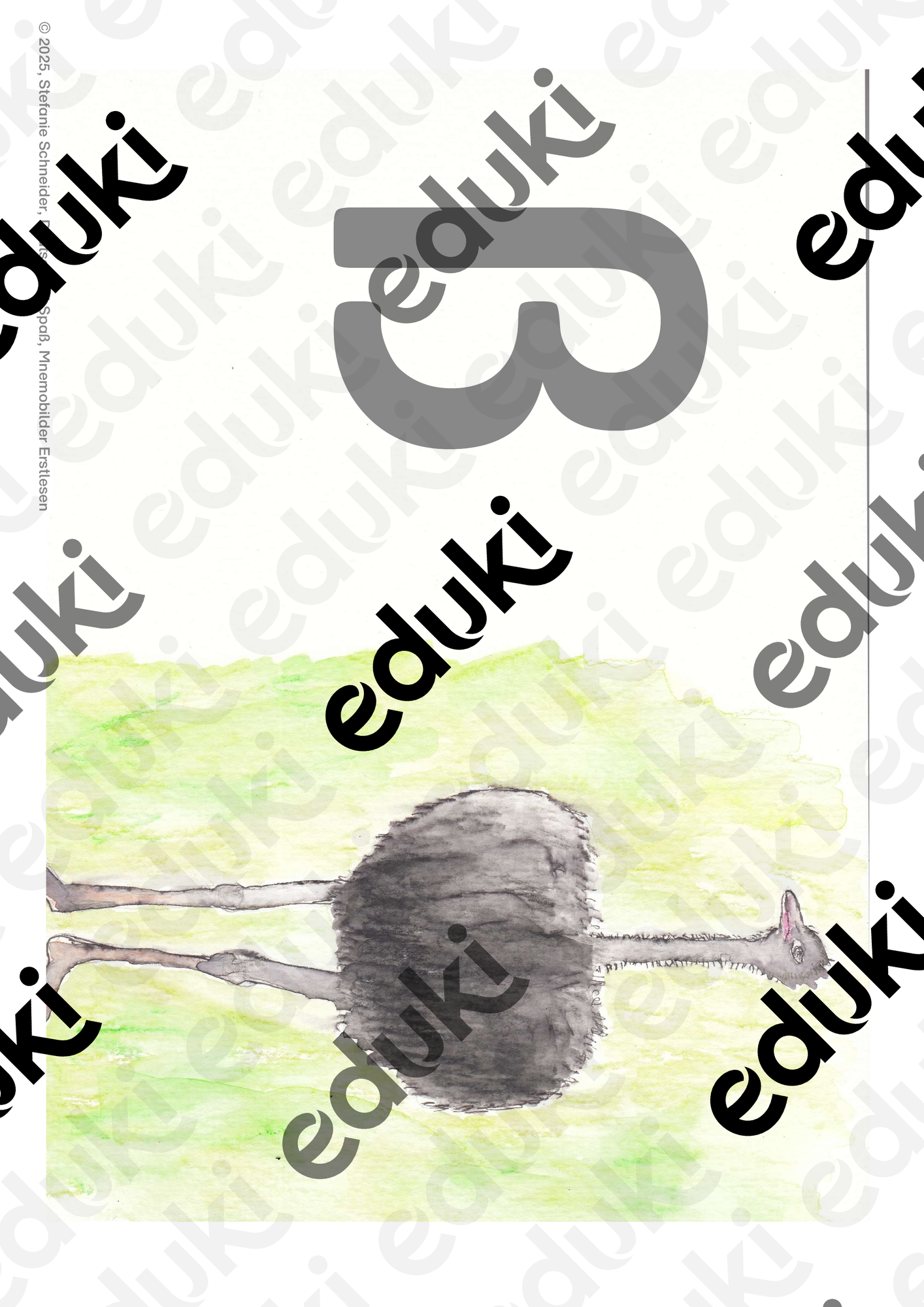 ZoomedPreview