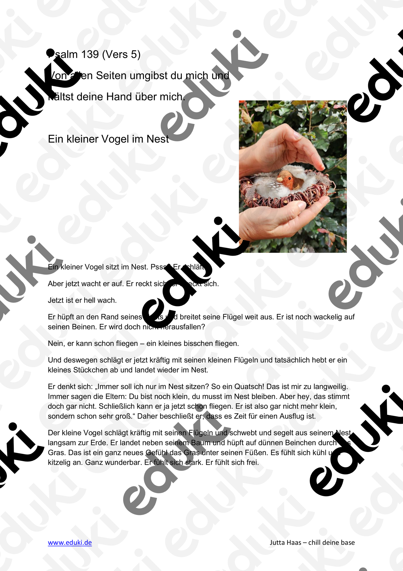 ZoomedPreview