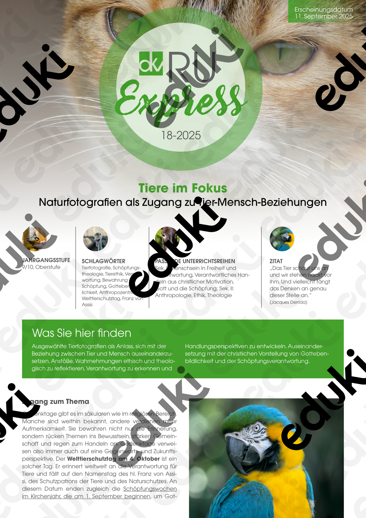 ZoomedPreview