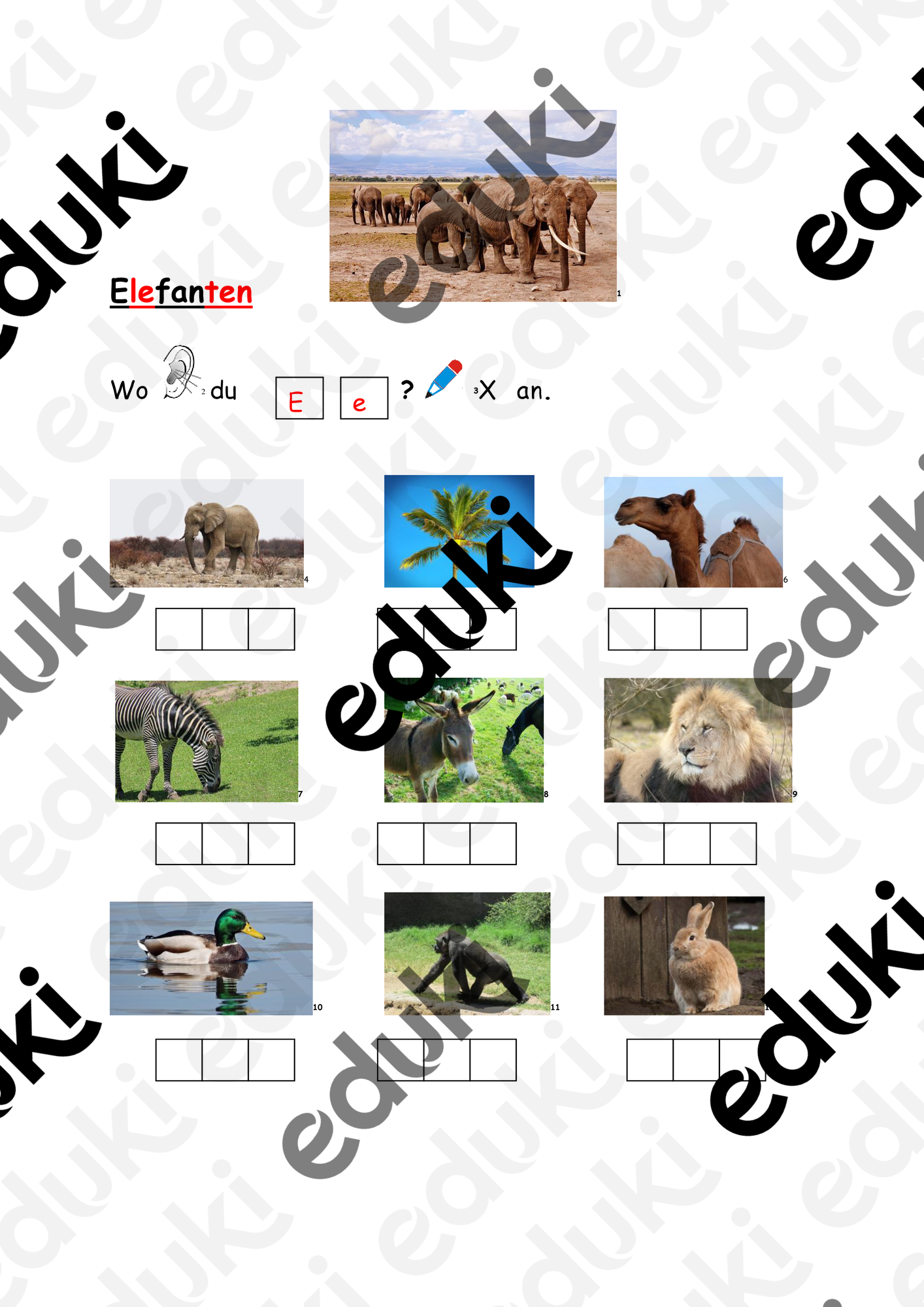 ZoomedPreview