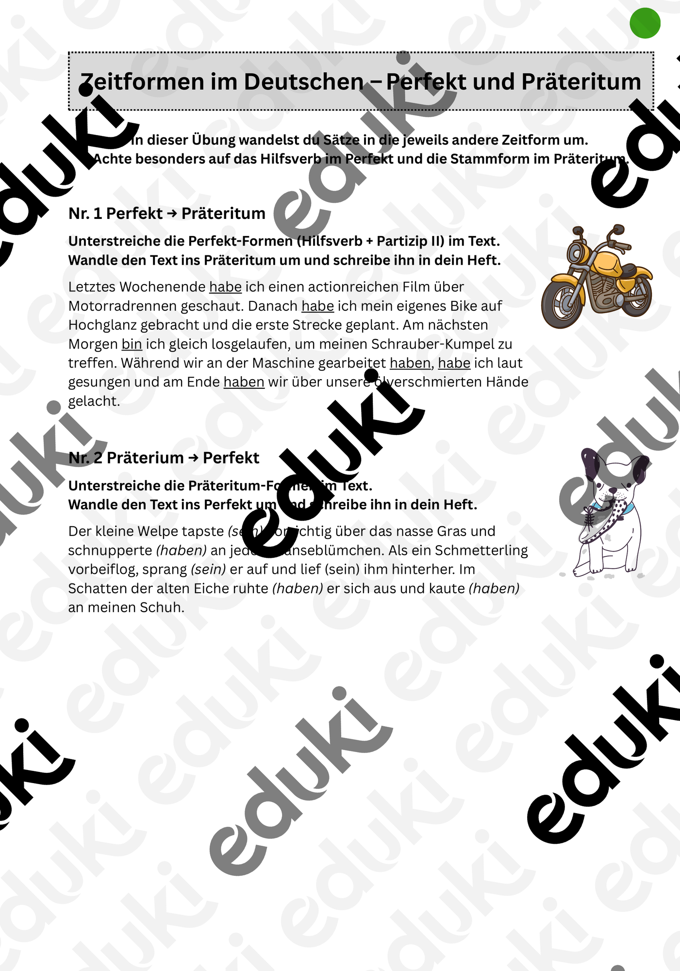 ZoomedPreview
