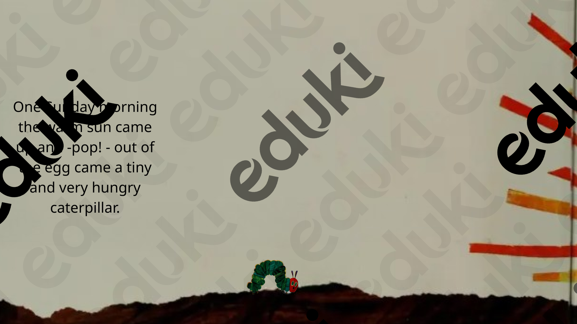 ZoomedPreview