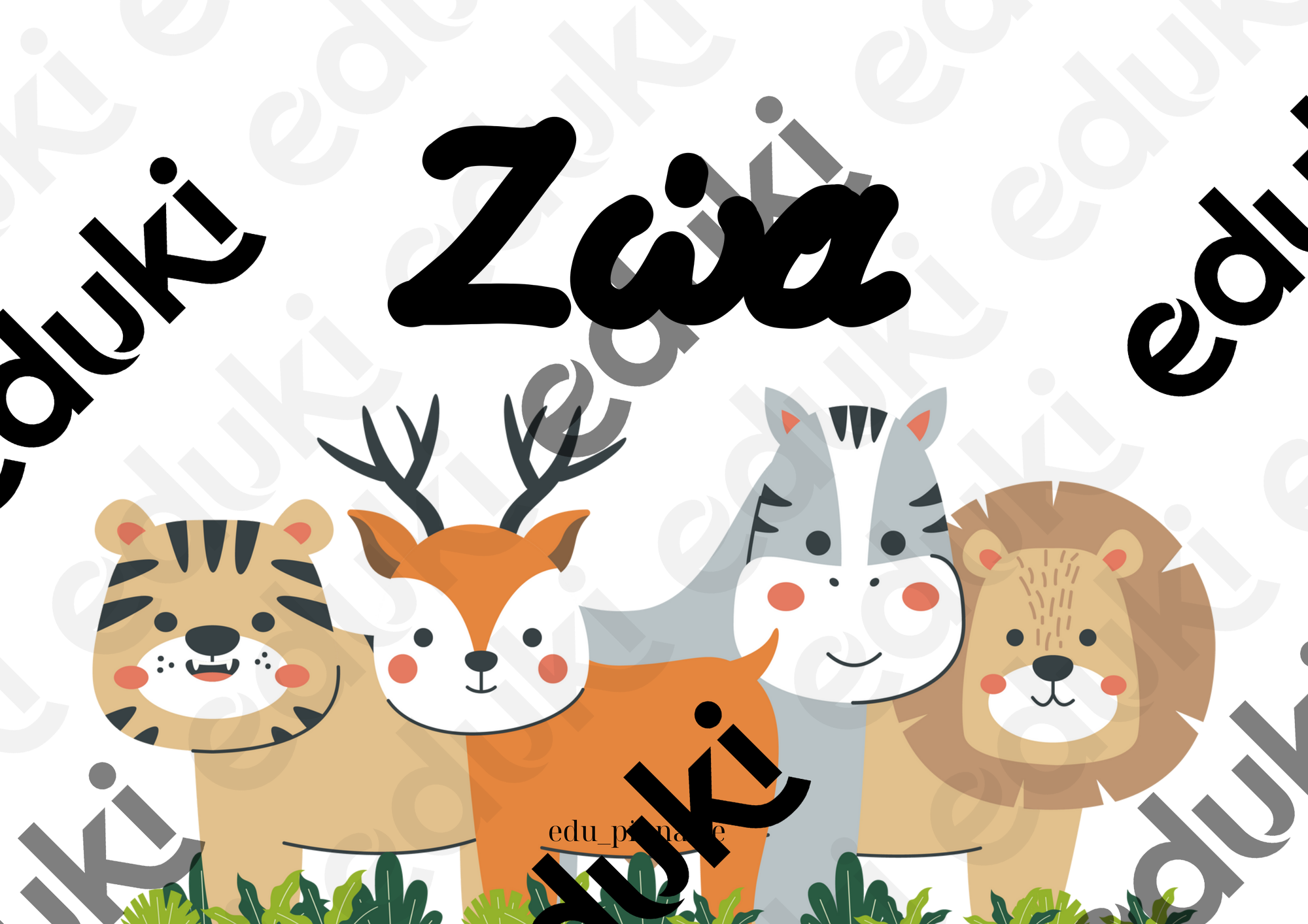 ZoomedPreview