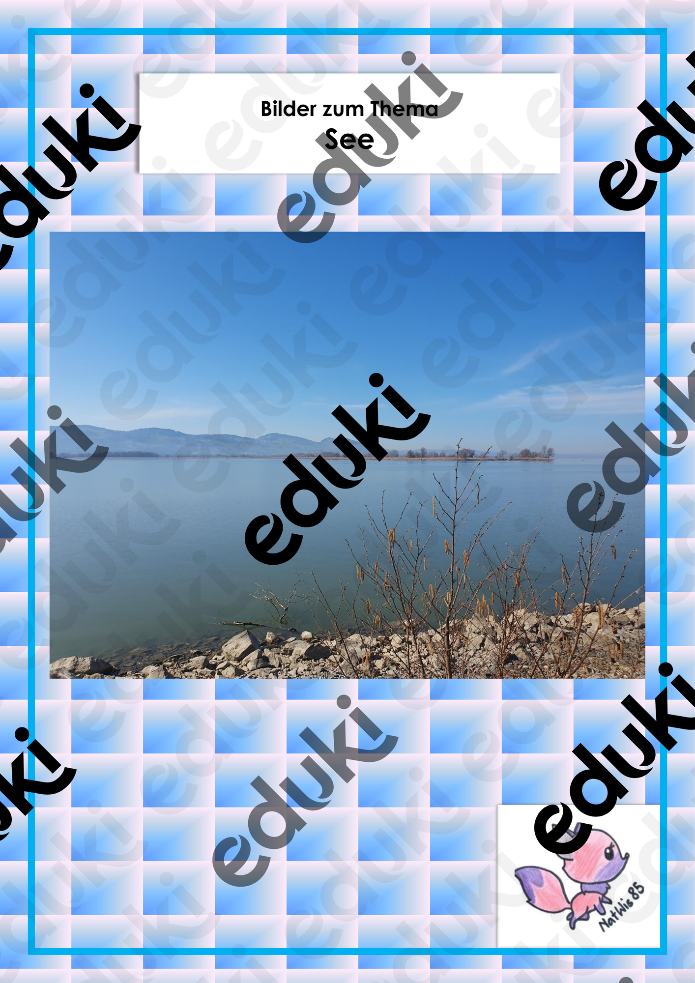 ZoomedPreview