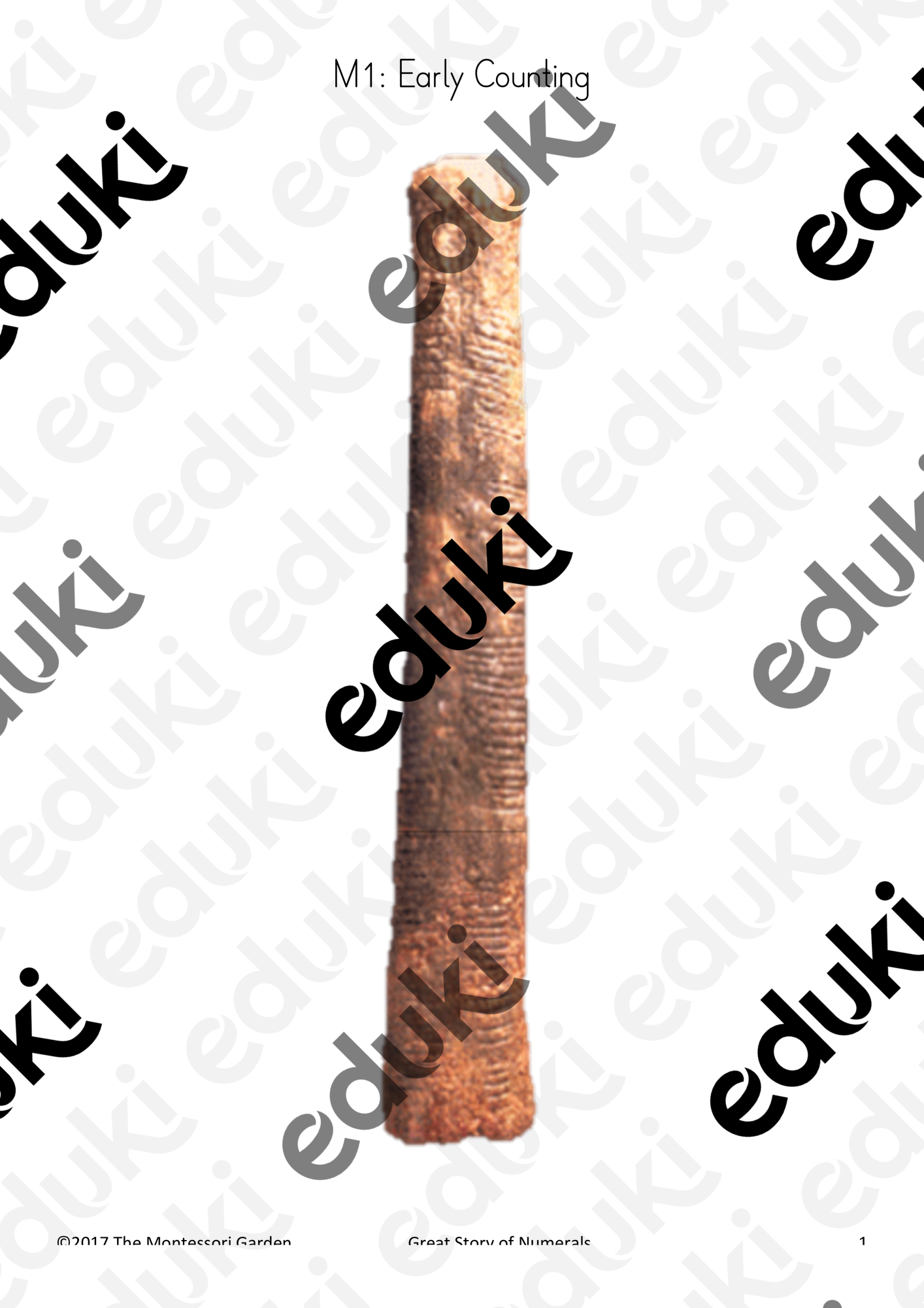 ZoomedPreview