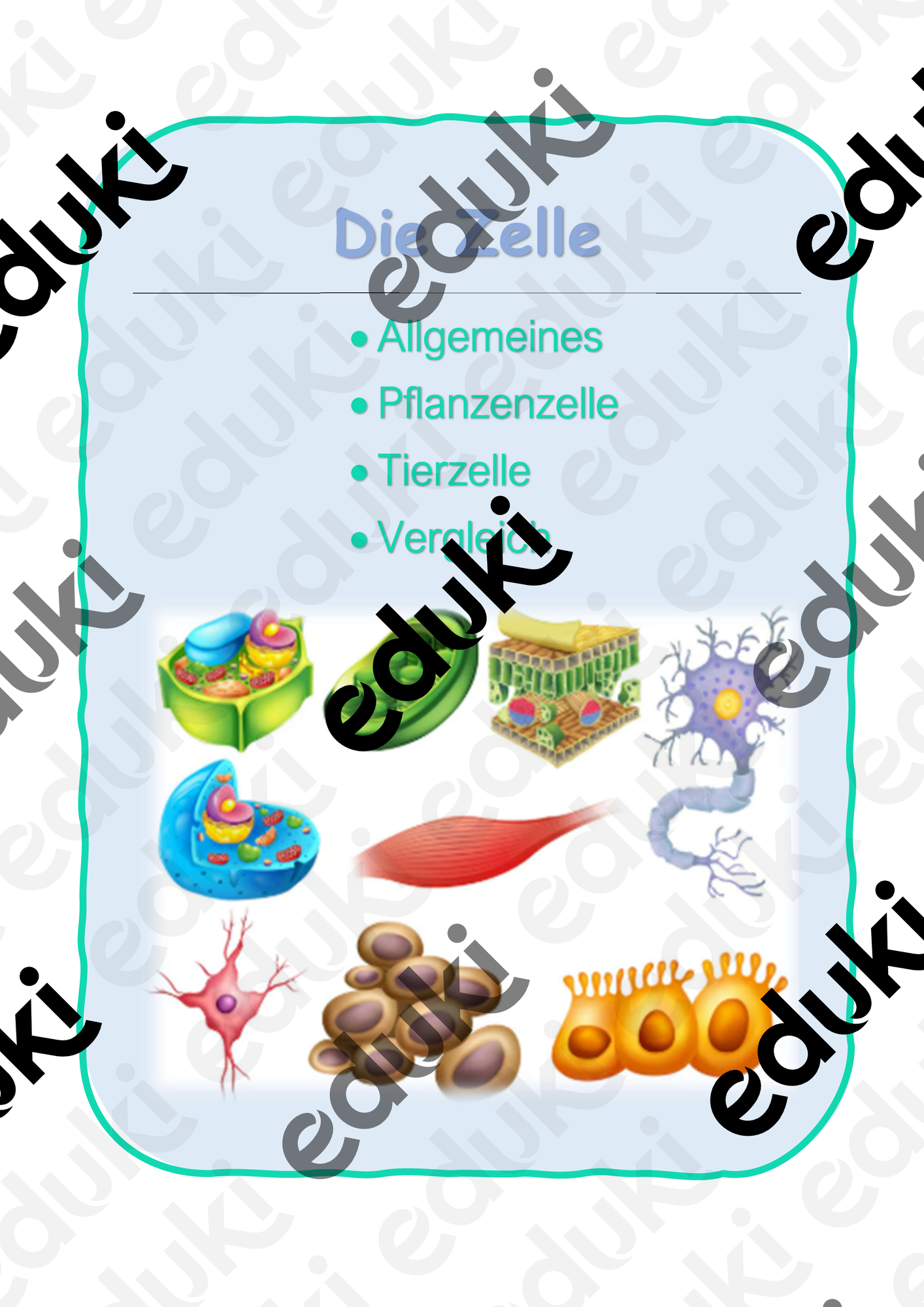 ZoomedPreview