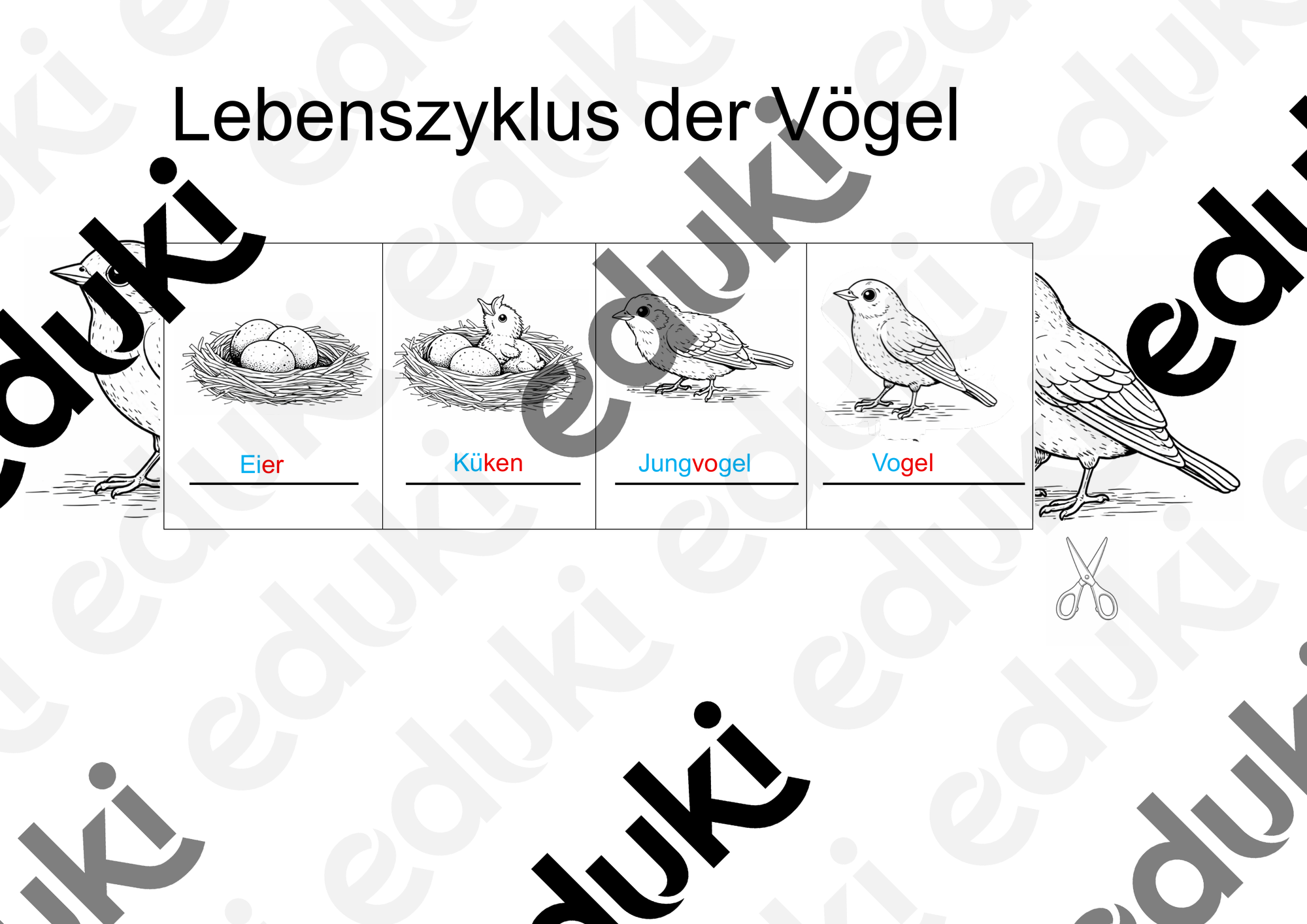 ZoomedPreview