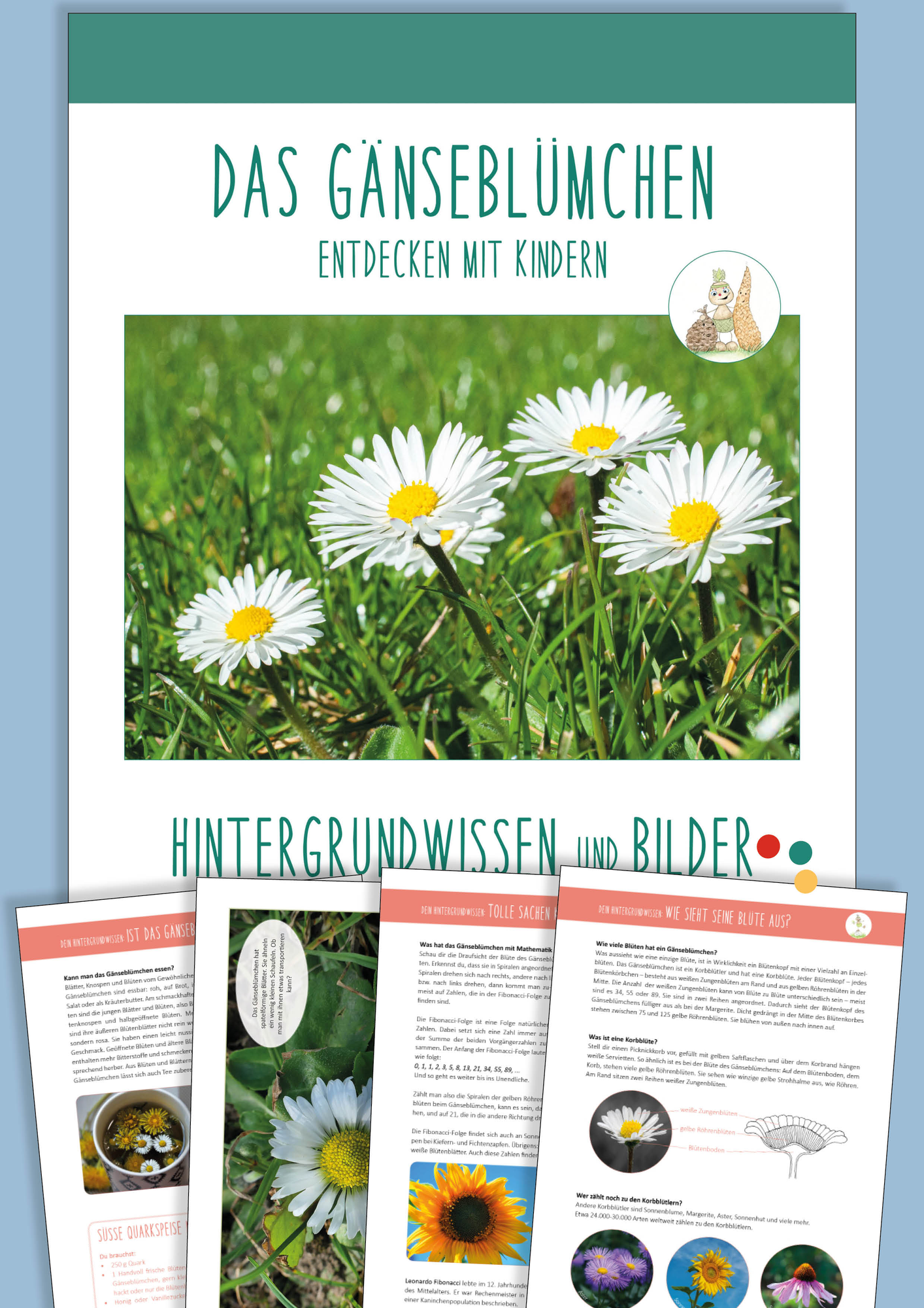 ZoomedPreview