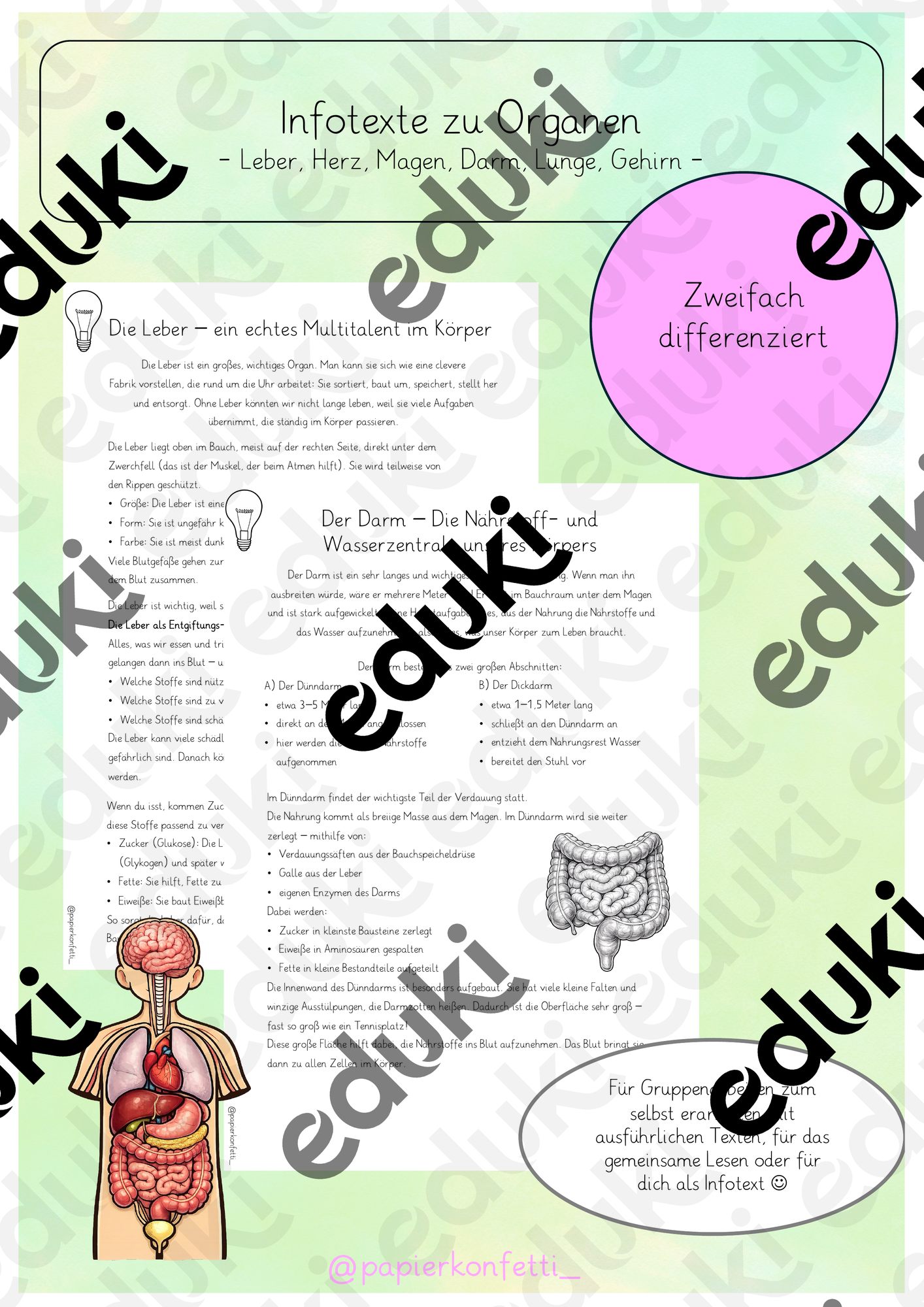 ZoomedPreview