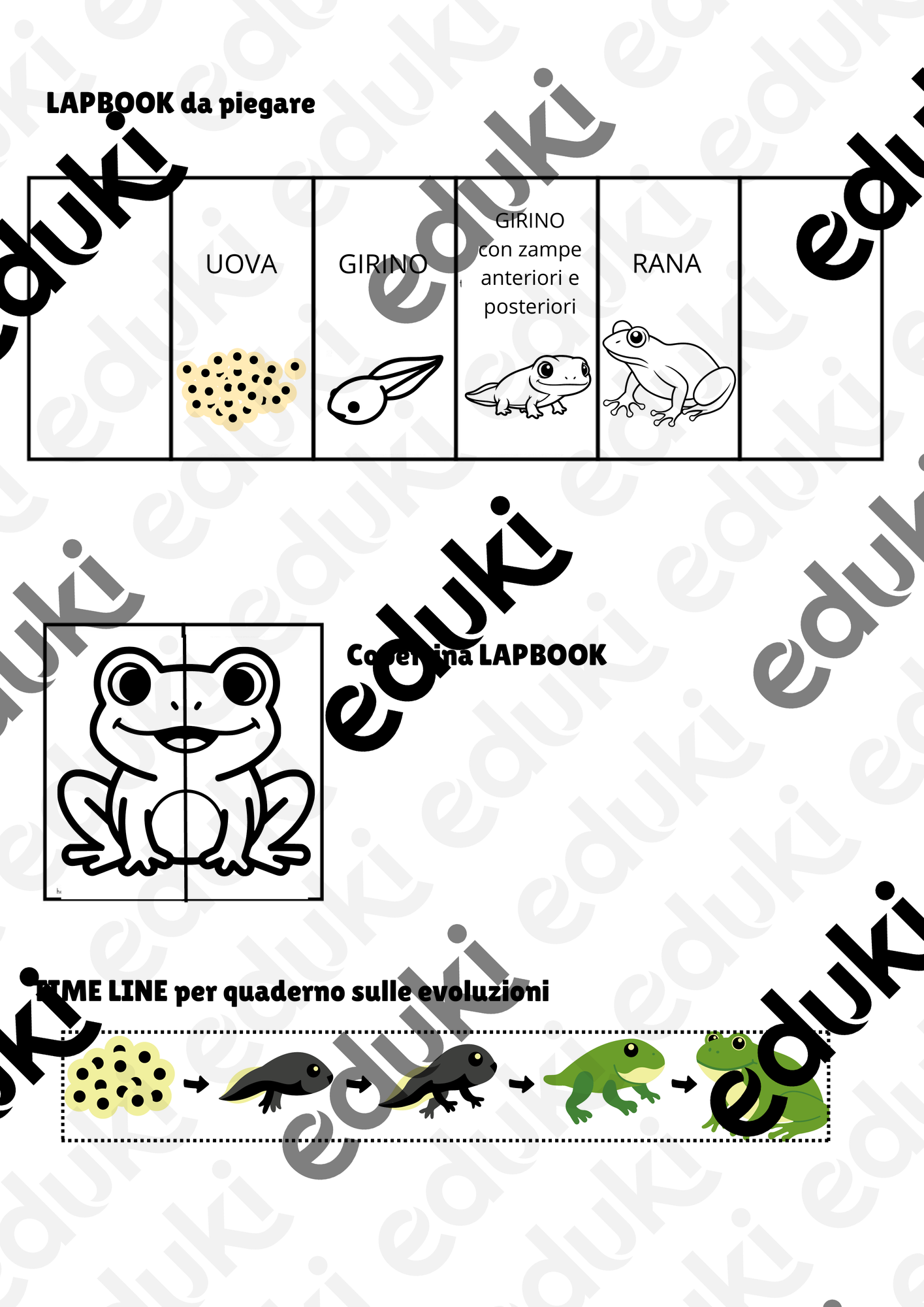 ZoomedPreview