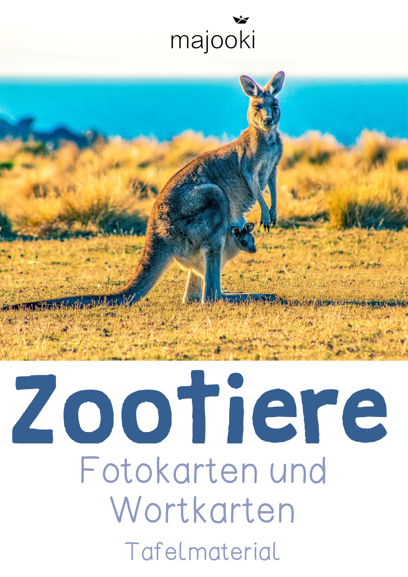ZoomedPreview