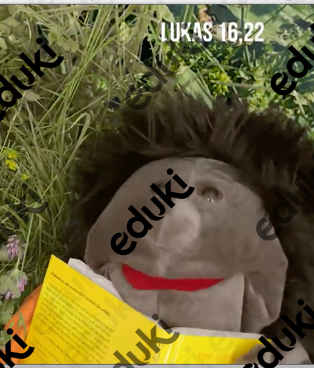 ZoomedPreview