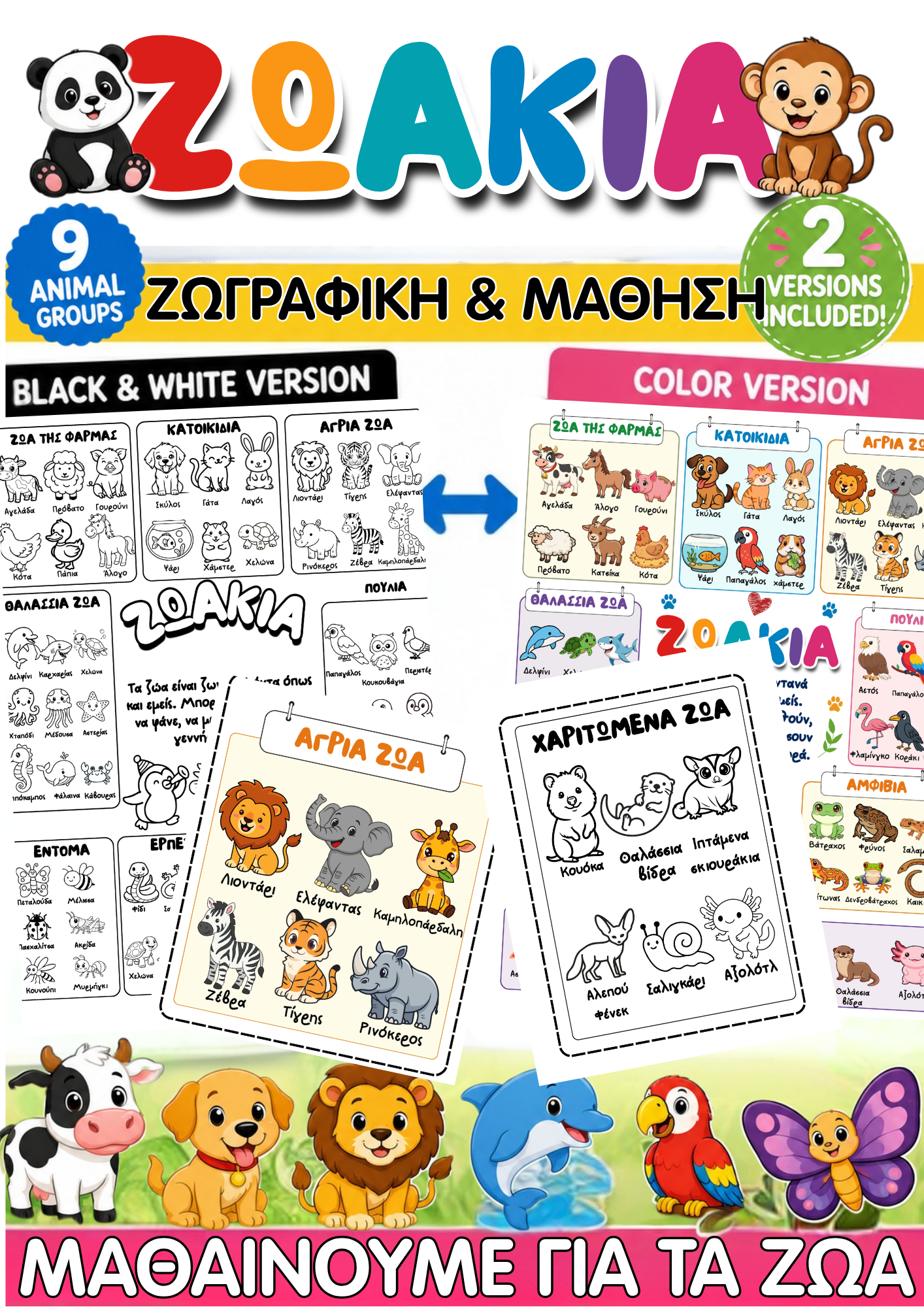 ZoomedPreview