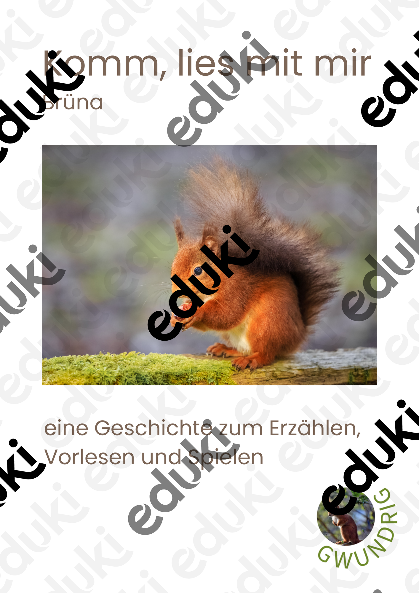 ZoomedPreview