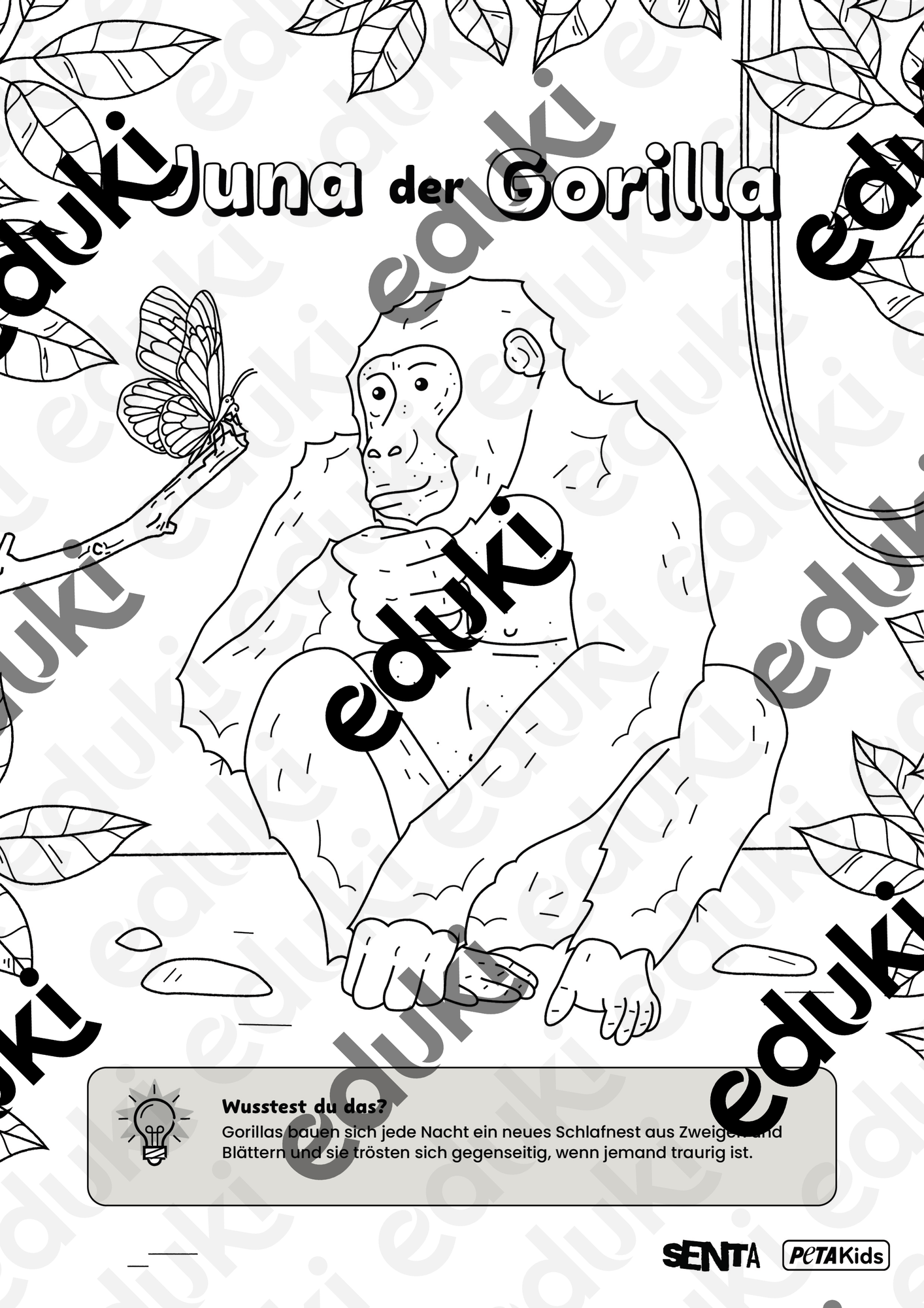 ZoomedPreview