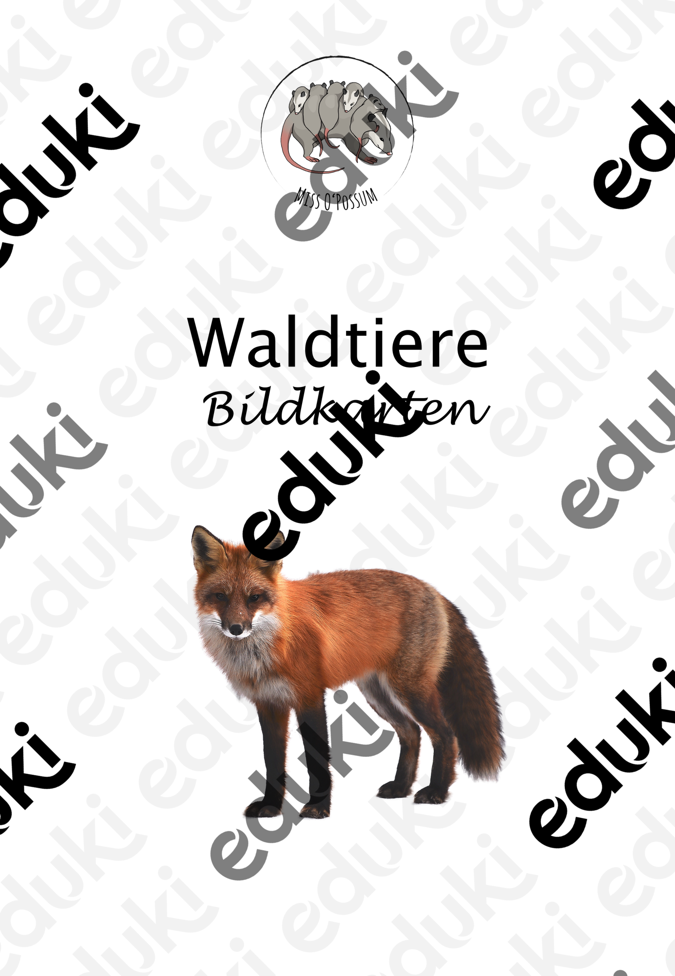 ZoomedPreview
