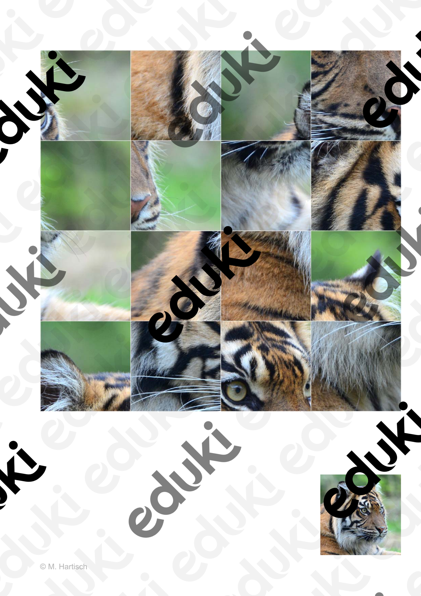 ZoomedPreview
