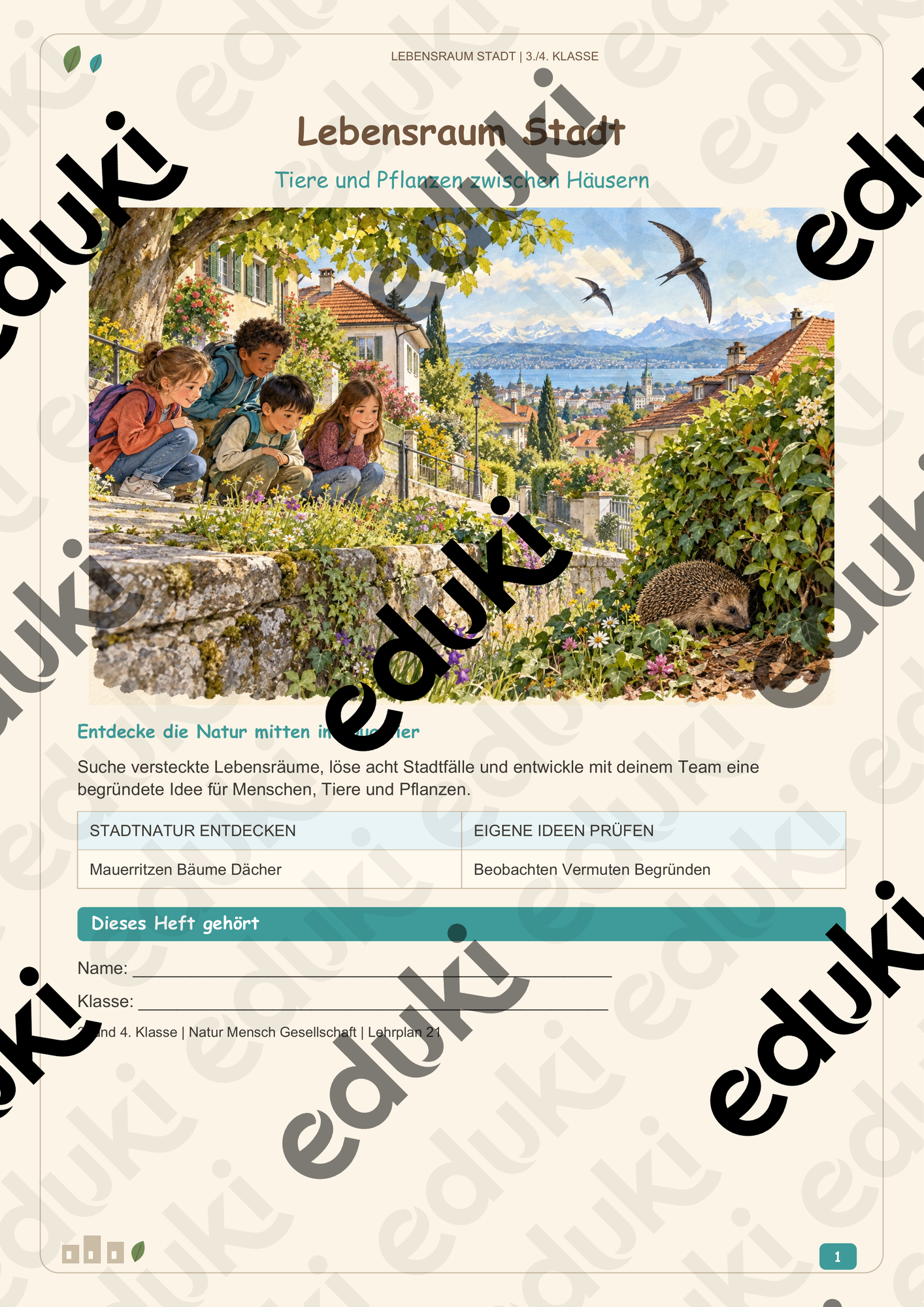 ZoomedPreview