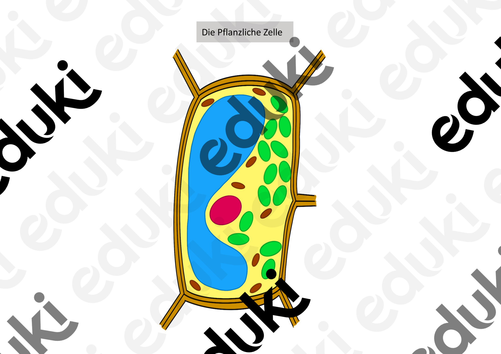 ZoomedPreview