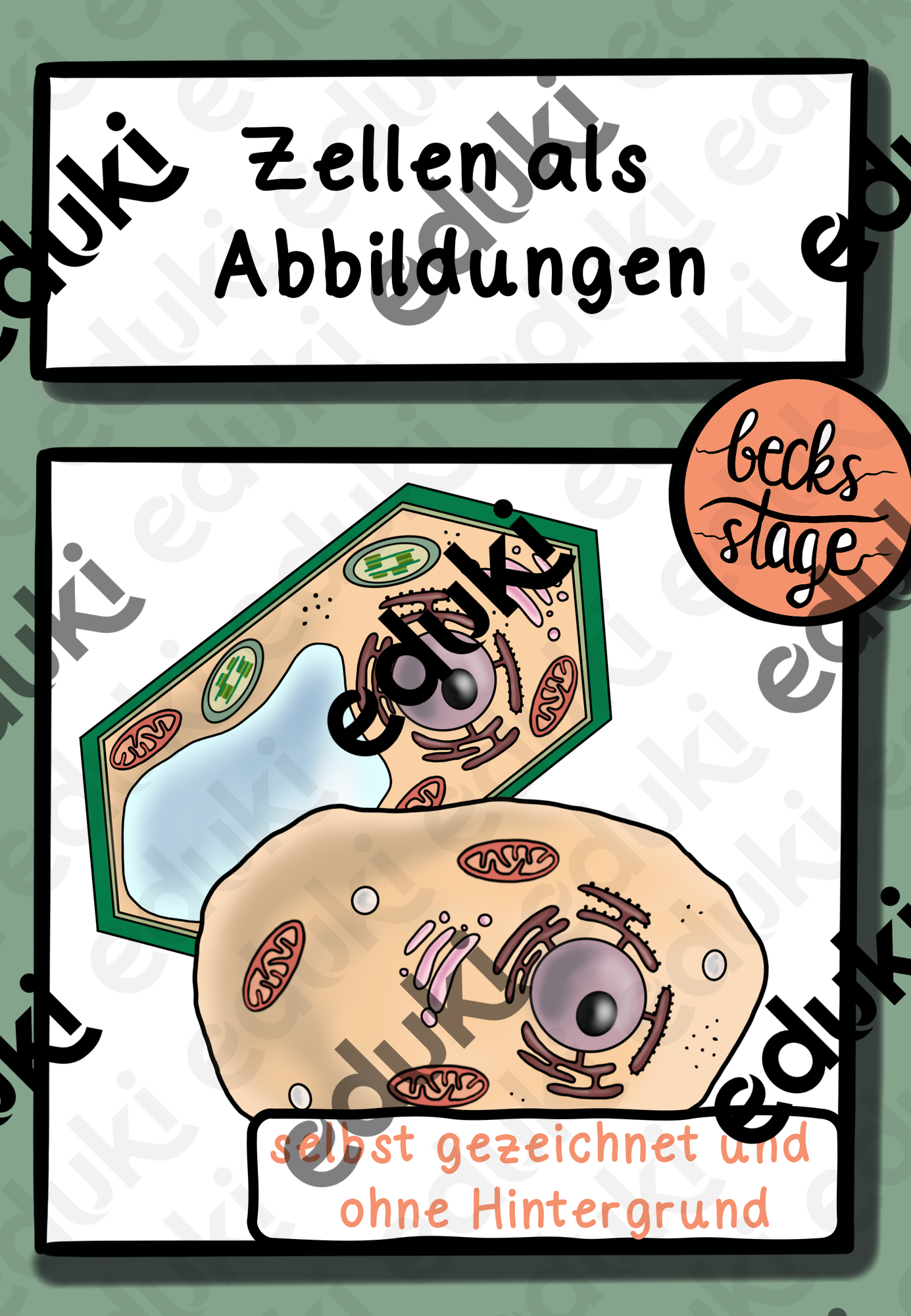 ZoomedPreview