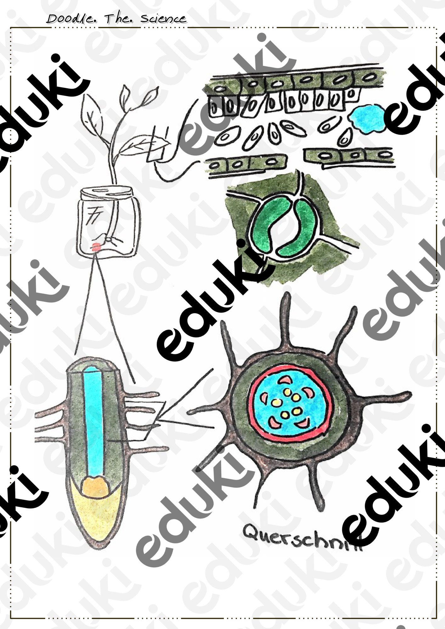 ZoomedPreview