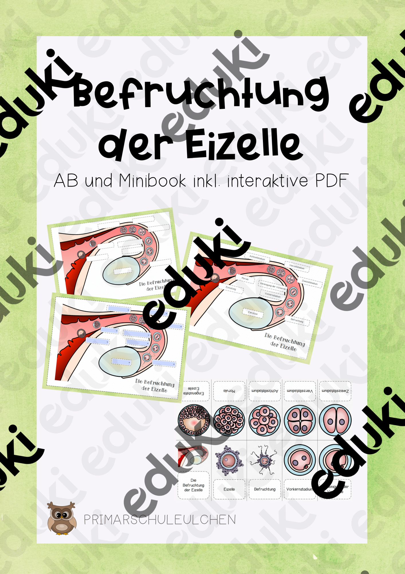 ZoomedPreview