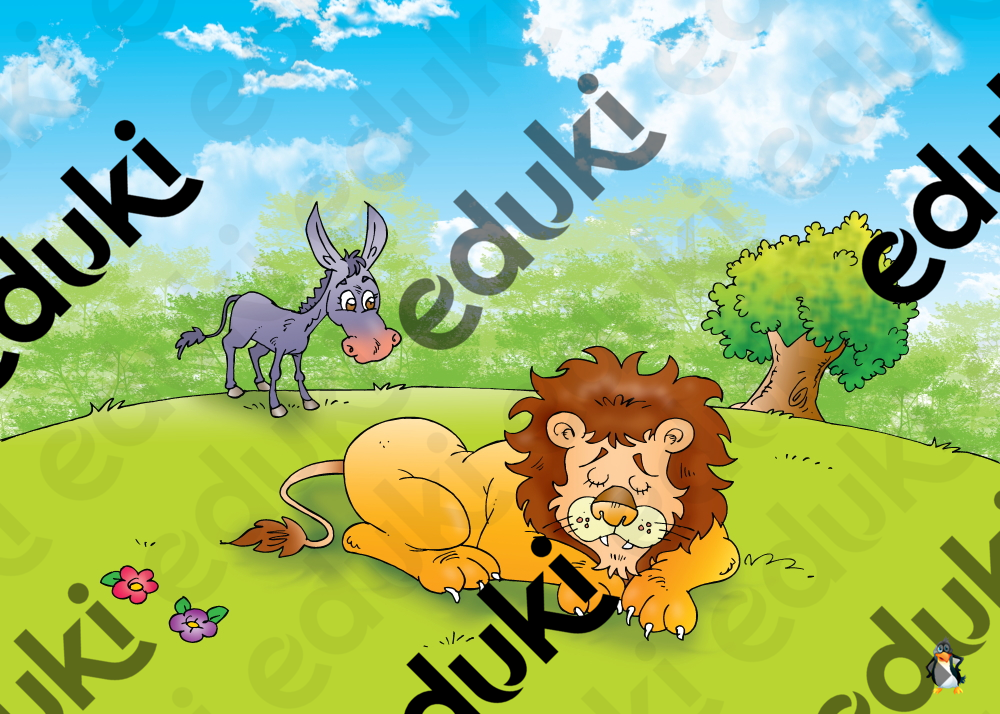 ZoomedPreview