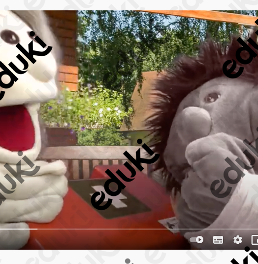 ZoomedPreview