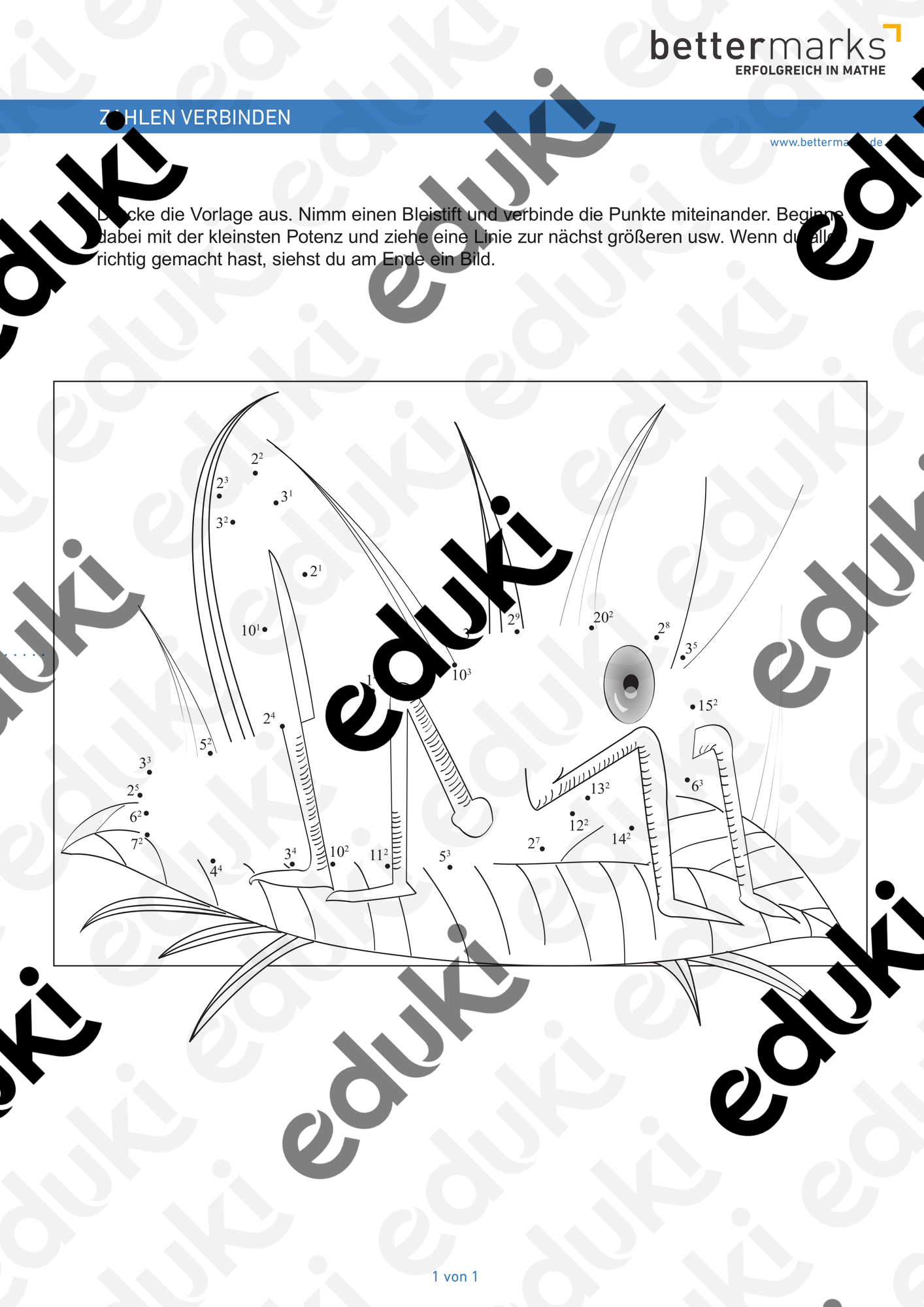 ZoomedPreview