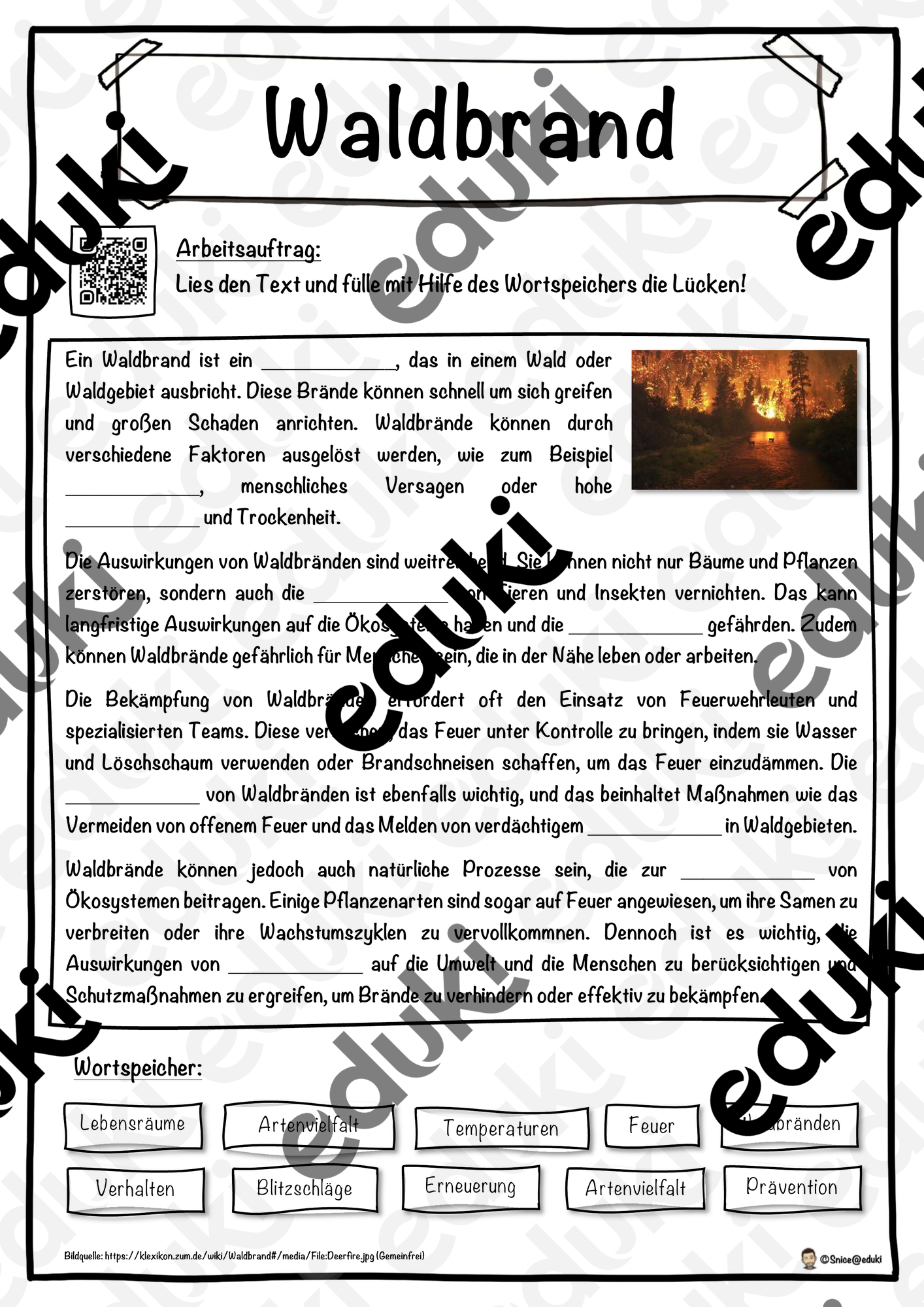 Waldbrand Lückentext mit Wortspeicher - Naturkatastrophe