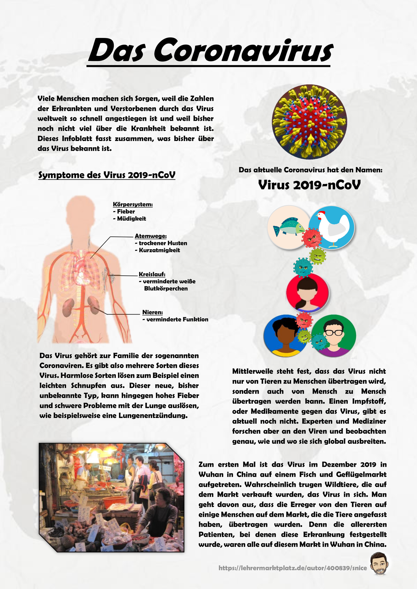Coronavirus Infoblatt